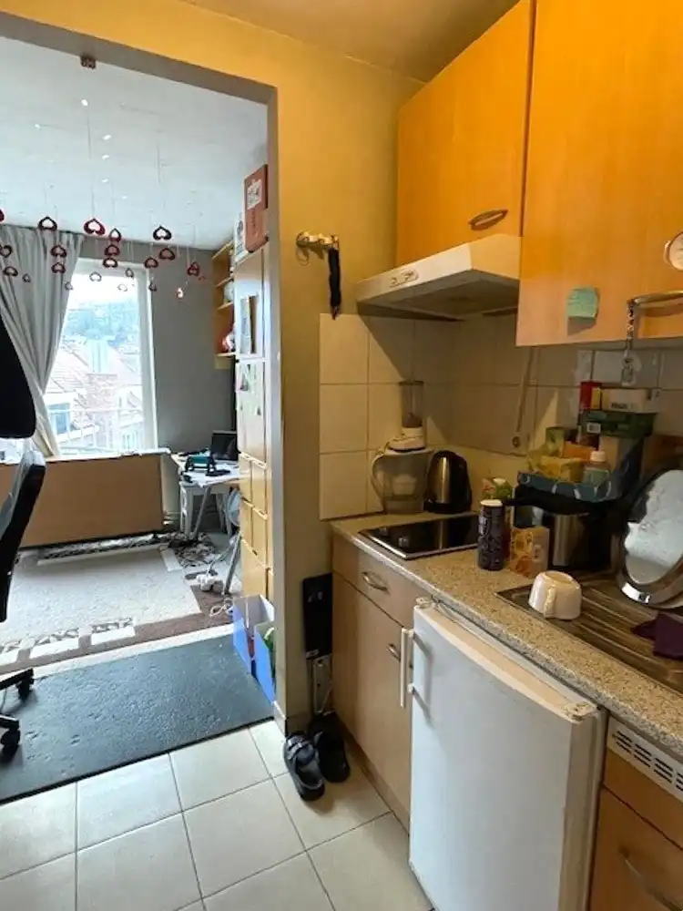 Deels gemeubelde studio met zonnig terras foto 3