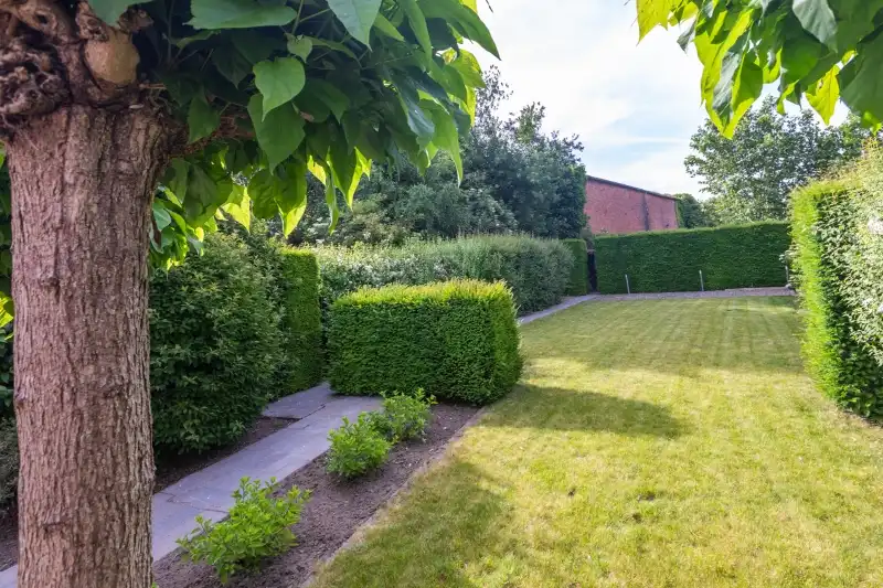 Prachtige, te renoveren, authentieke burgerwoning  met 5 slaapkamers, tuin en ruime garage. foto 27