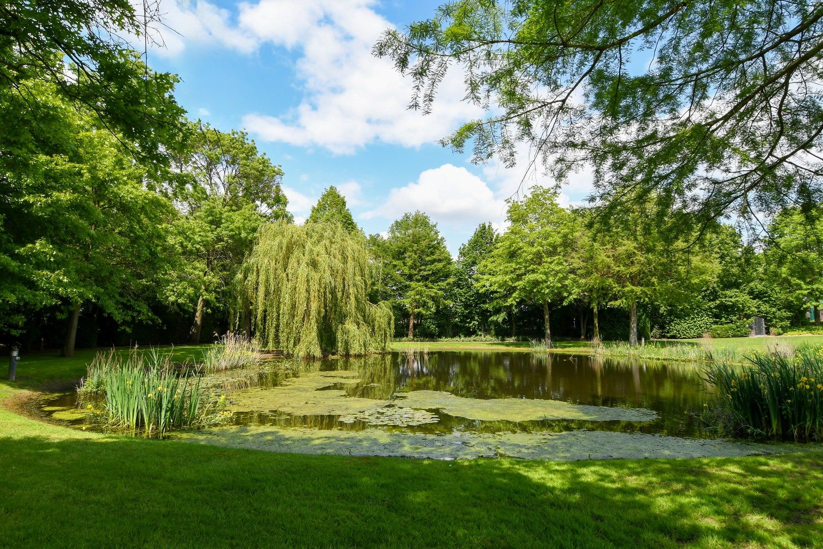 Prachtig instapklaar gelijkvloers appartement met schitterende terrassen foto 28