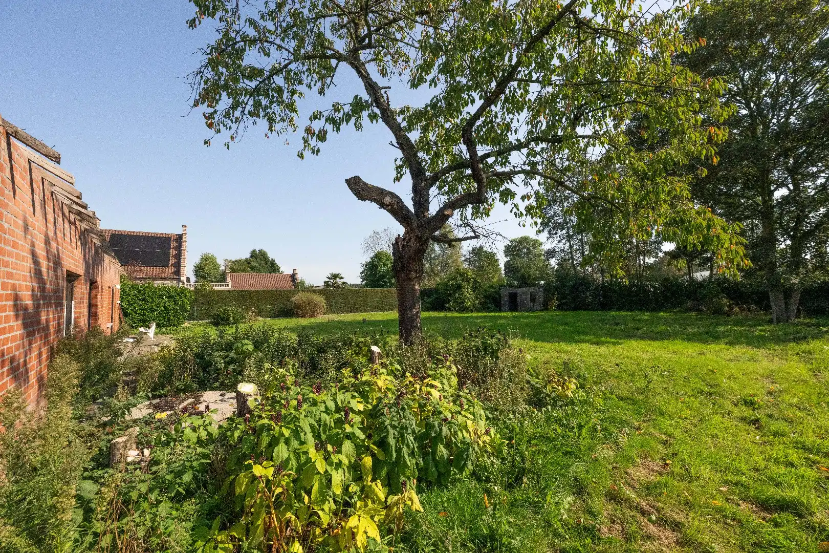 PERFECT GELEGEN PERCEEL BOUWGROND (1.364 m² | OPEN BEBOUWING) foto 9