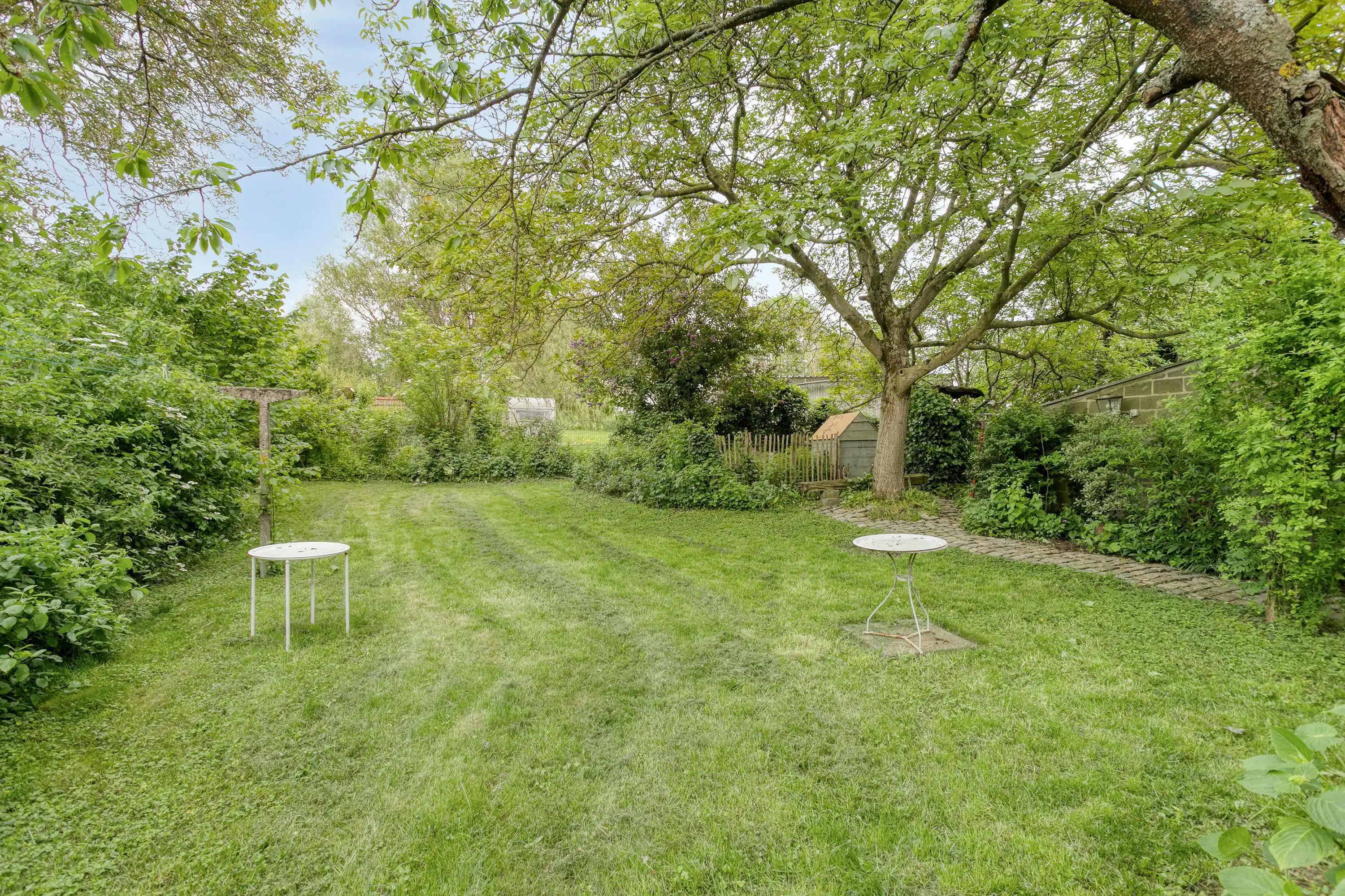 Horecazaak met appartement in Heuvelland te koop foto 4