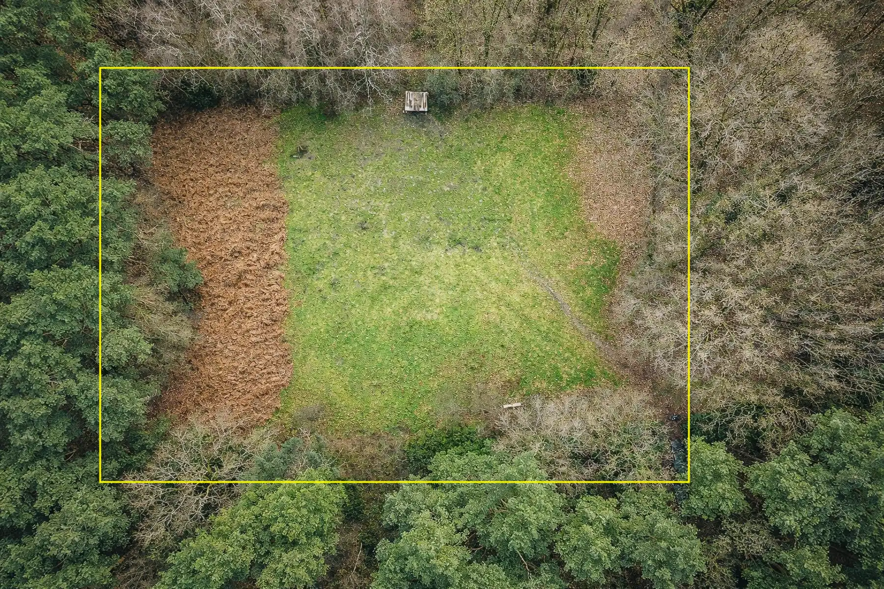 Prachtig weiland in bosgebied te Halle-Zoersel. foto {{pictureIndex}}