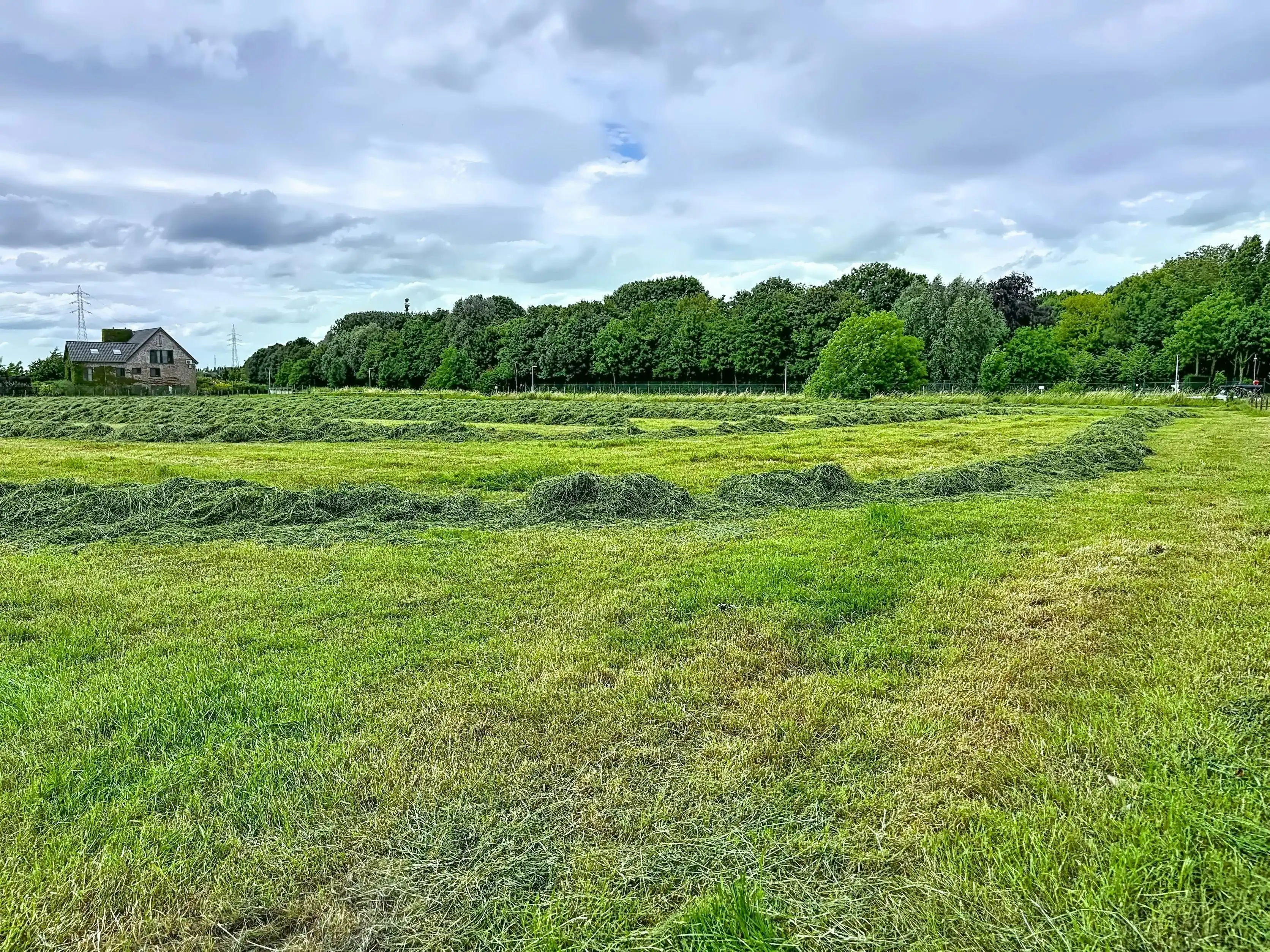 Te renoveren woning met tuin in Deinze foto 14