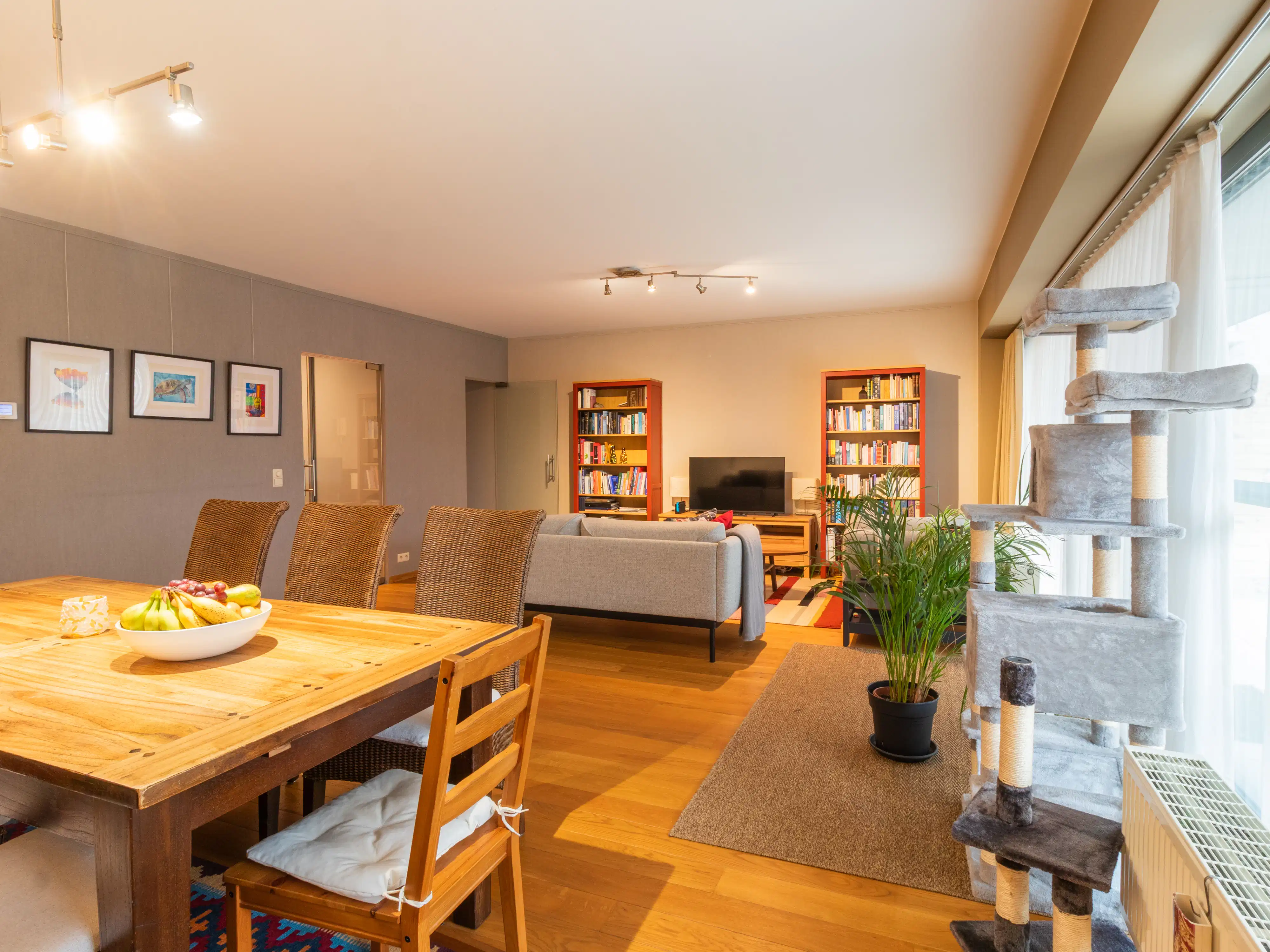 Ruim duplexappartement met garagebox en tuin foto 3