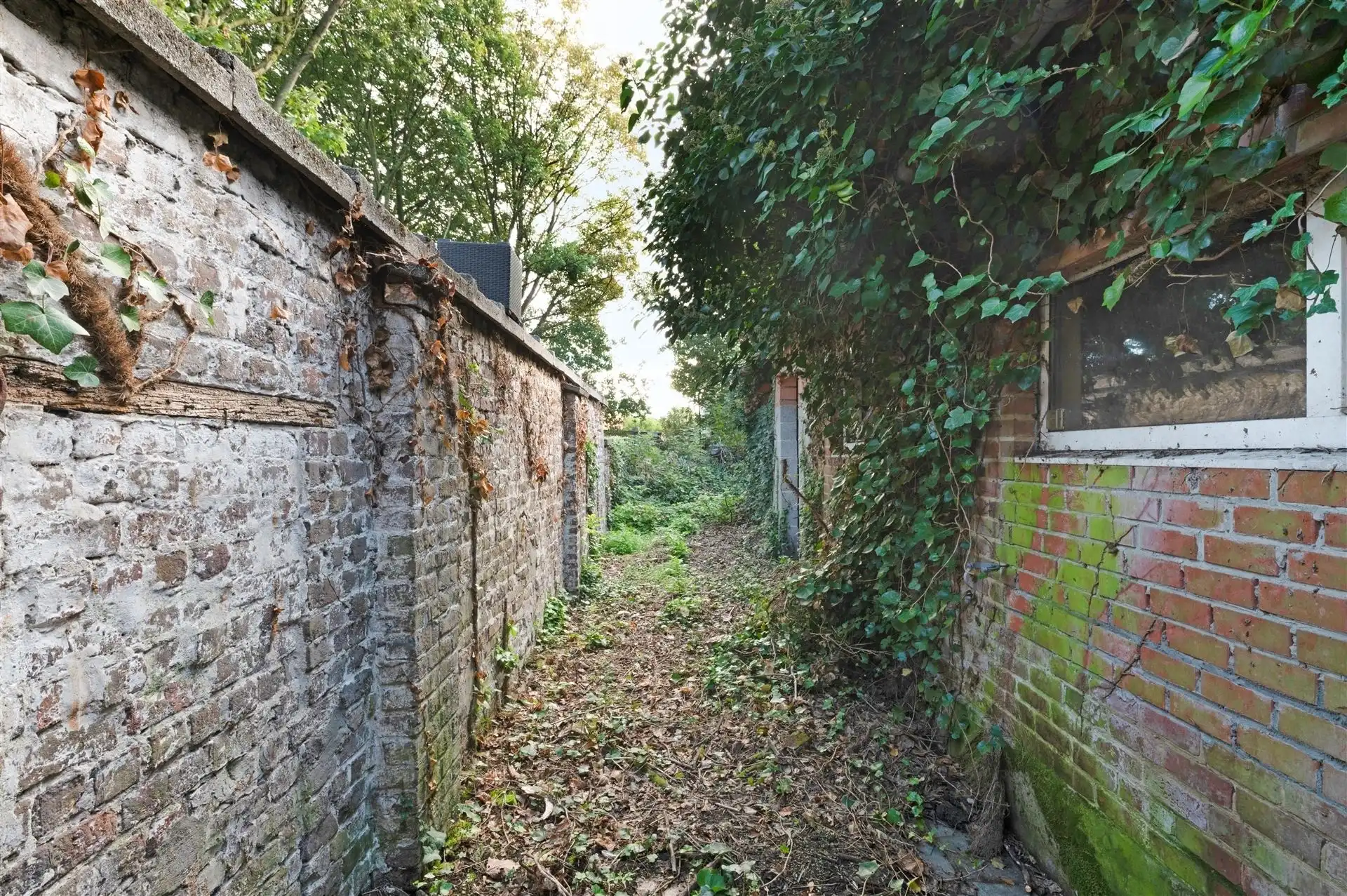 Te renoveren pand met handelsmogelijkheden in Oudenaarde foto 2
