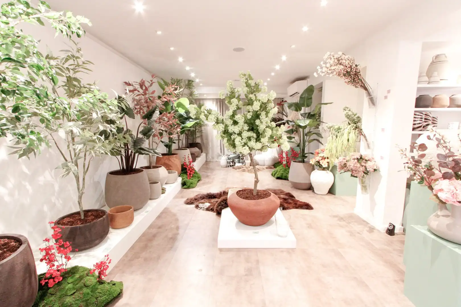 Te huur Kustlaan 40 foto {{pictureIndex}}