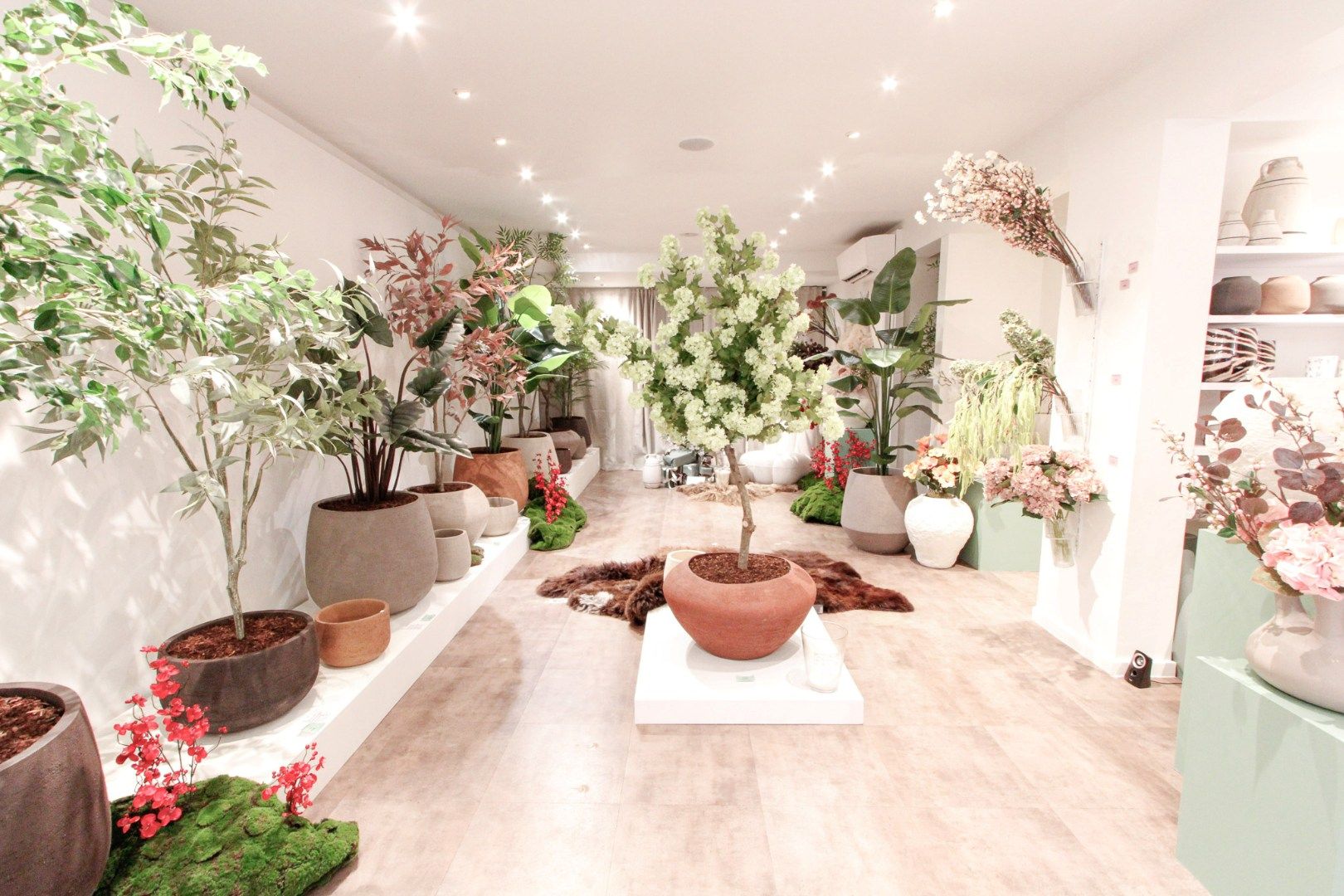 Commerciële ruimte te huur Kustlaan 40 - - 8300 Knokke-Heist