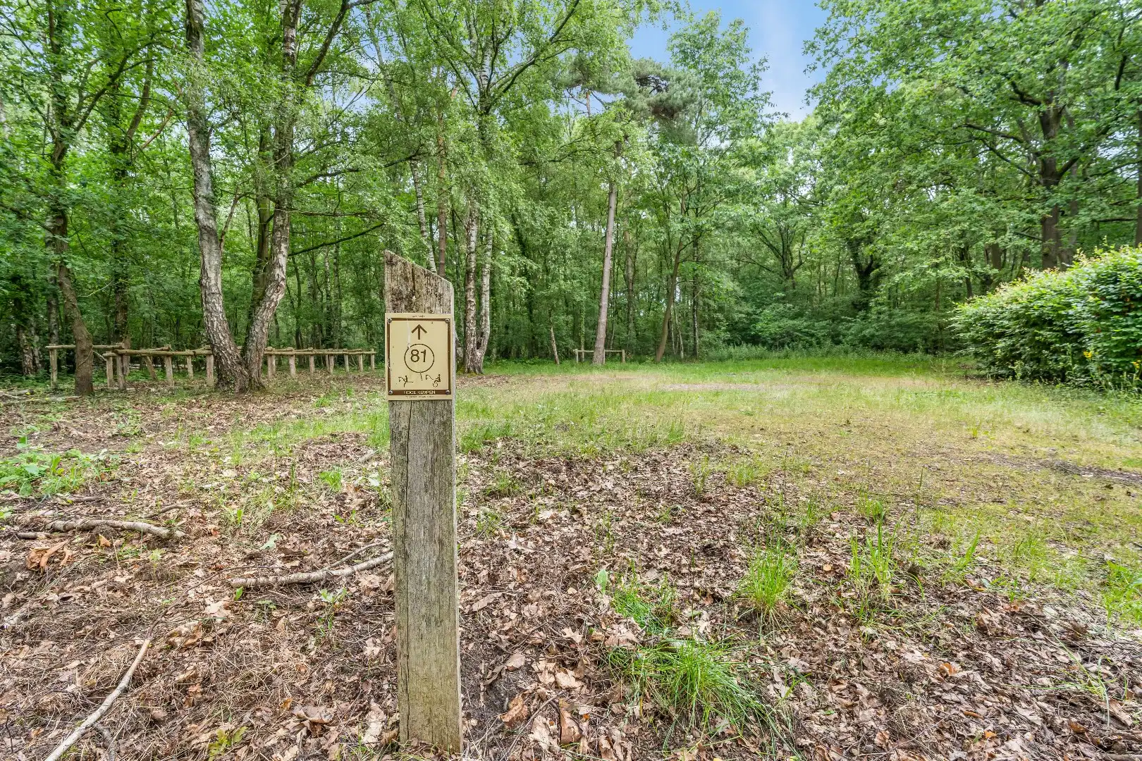 Authentiek horecapandje ideaal voor een healthy coffee-, lifestyle- en natuurconcept in het Dilserbos-Sparrendal. foto 30