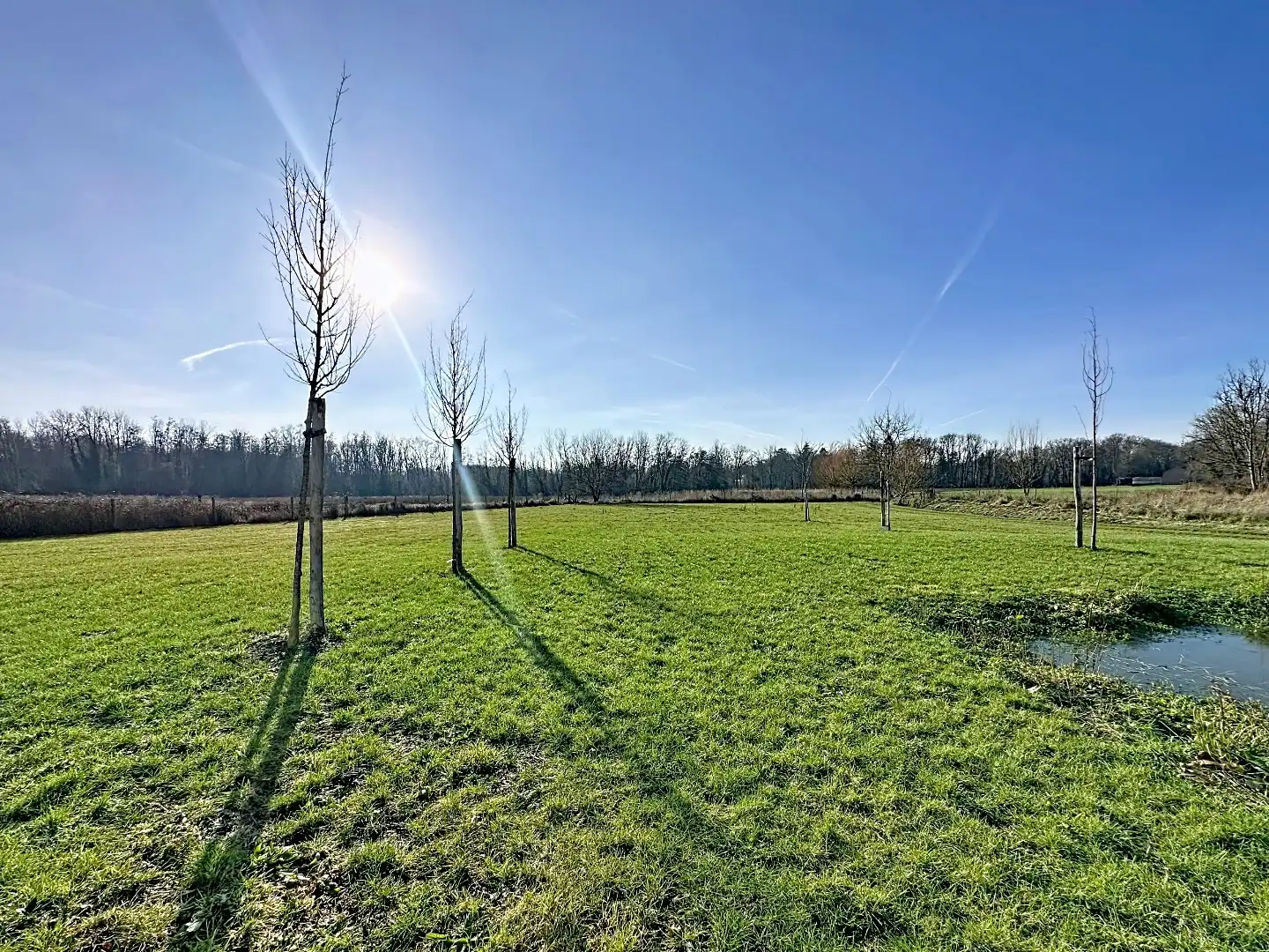 Energiezuinig gelijkvloers appartement met tuin, terras & garage in Korbeek-Lo foto 23