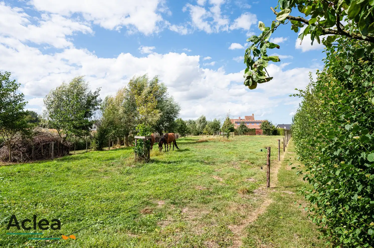 Karaktervol landhuis met paardenstal op 5.943m² in een groene omgeving foto 38