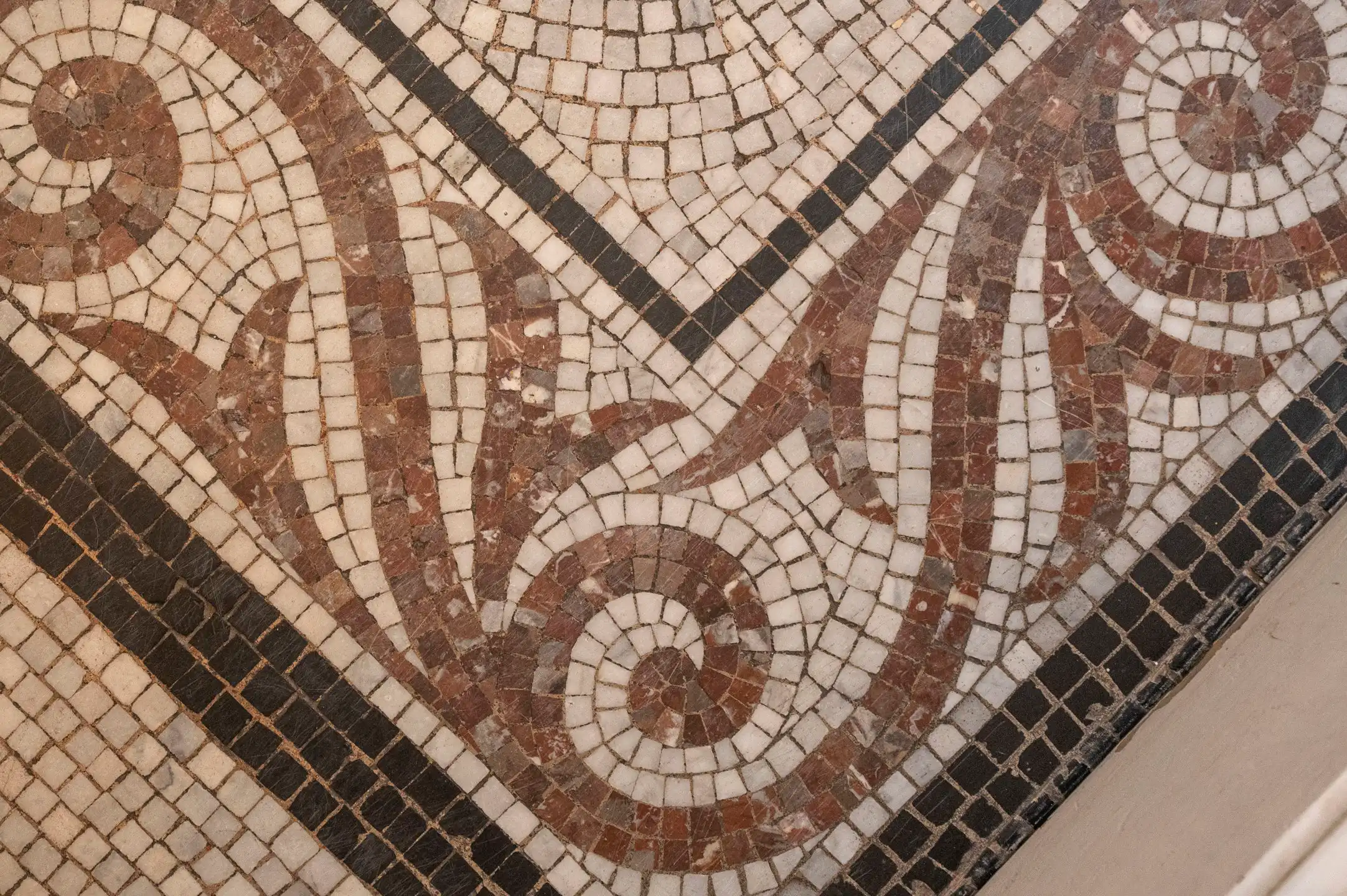 Gerenoveerd herenhuis met tuin aan het hippe Zurenborg  foto 14