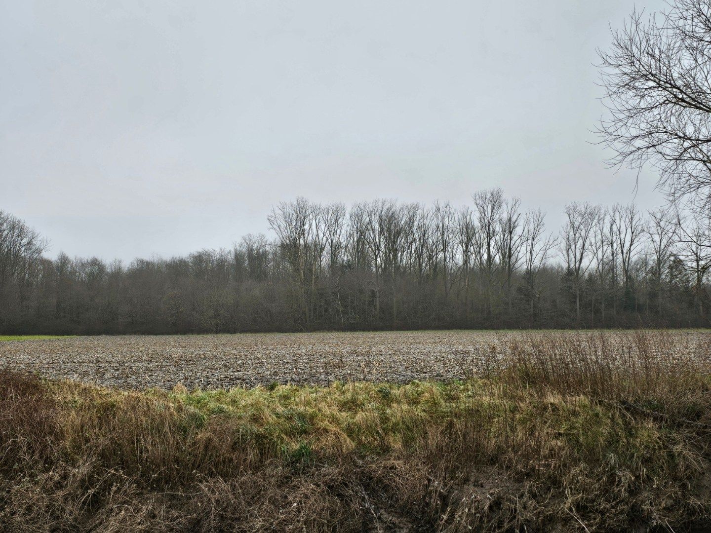 Percelen bos te Rotselaar. foto 3