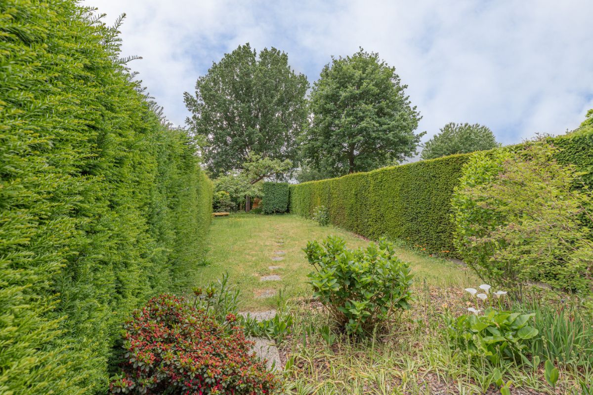 Statige woning met tuin in centrum Dendermonde foto 18