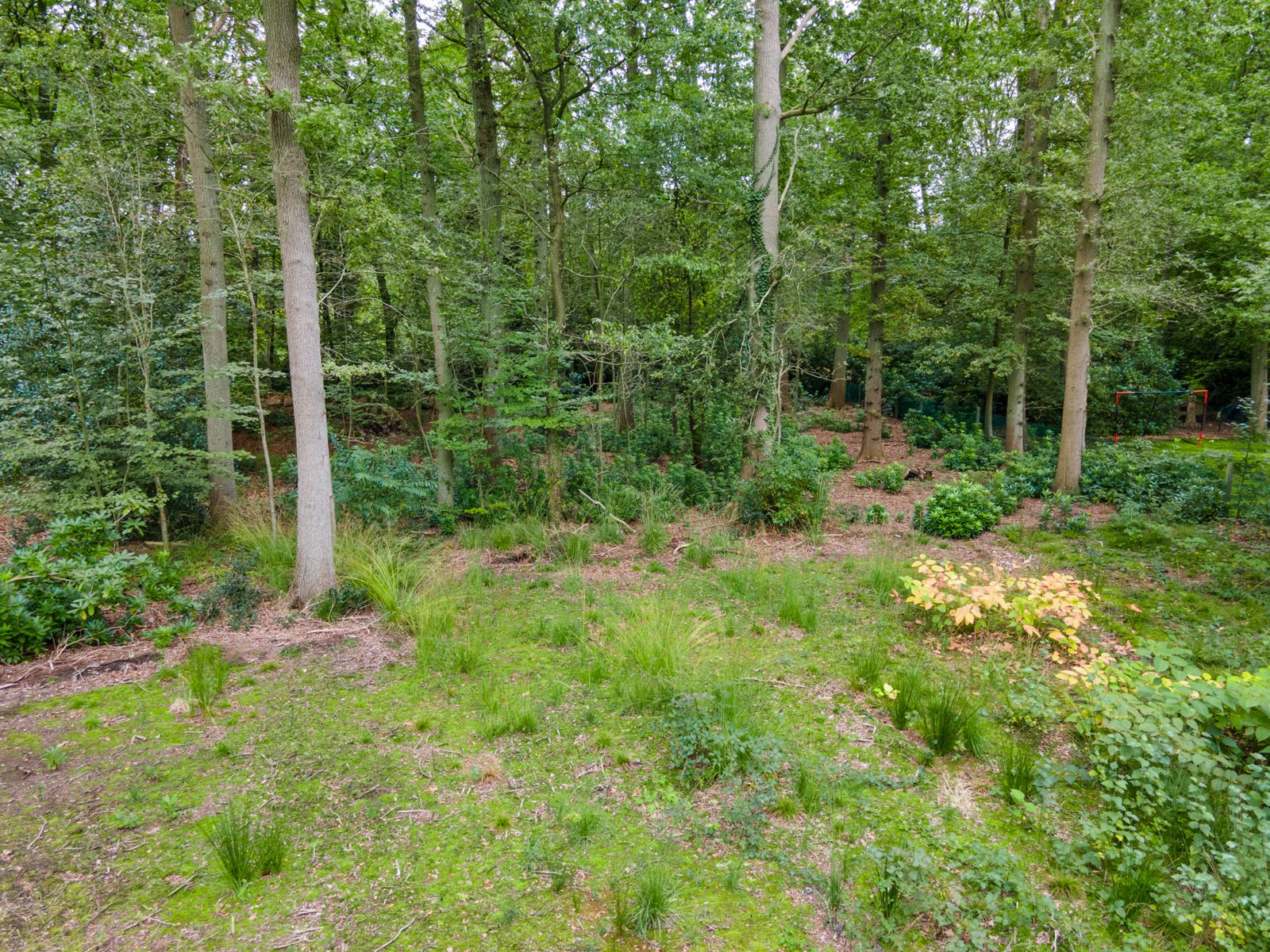 Bouwgrond van 2700 m² gelegen op een residentiële locatie. foto 2