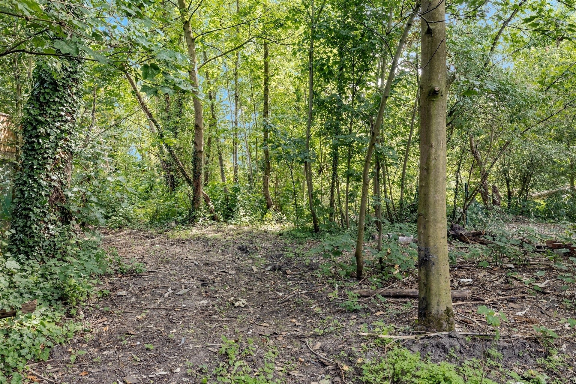 Halfopen renovatiewoning met  verdere mogelijkheden in centrum Wetteren foto 26