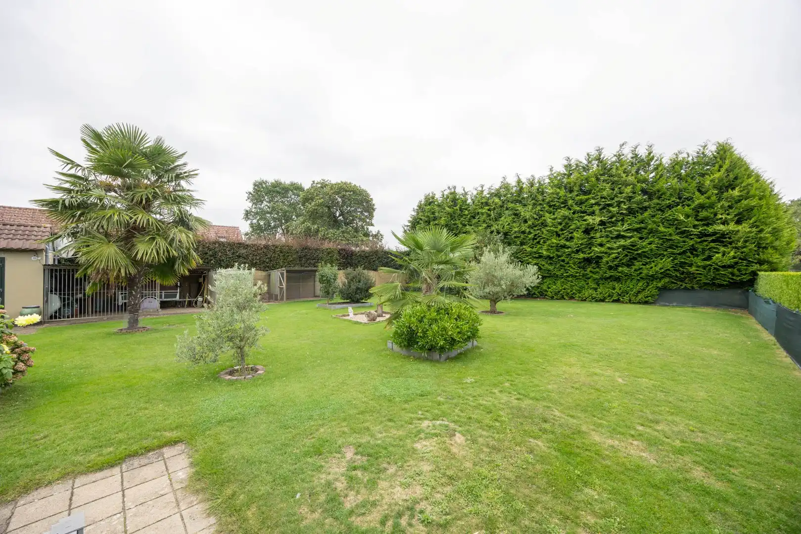 Goed onderhouden woning op een perceel van 8 are 19 ca foto 25