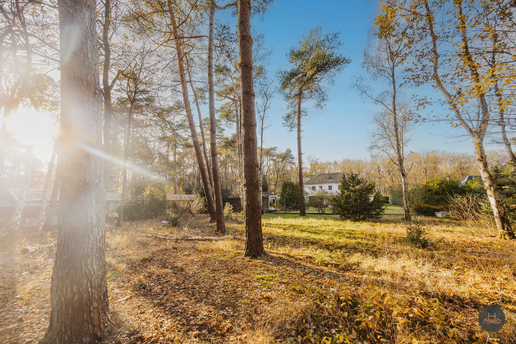 Riante villa op toplocatie in het groen met privé-bos foto 28