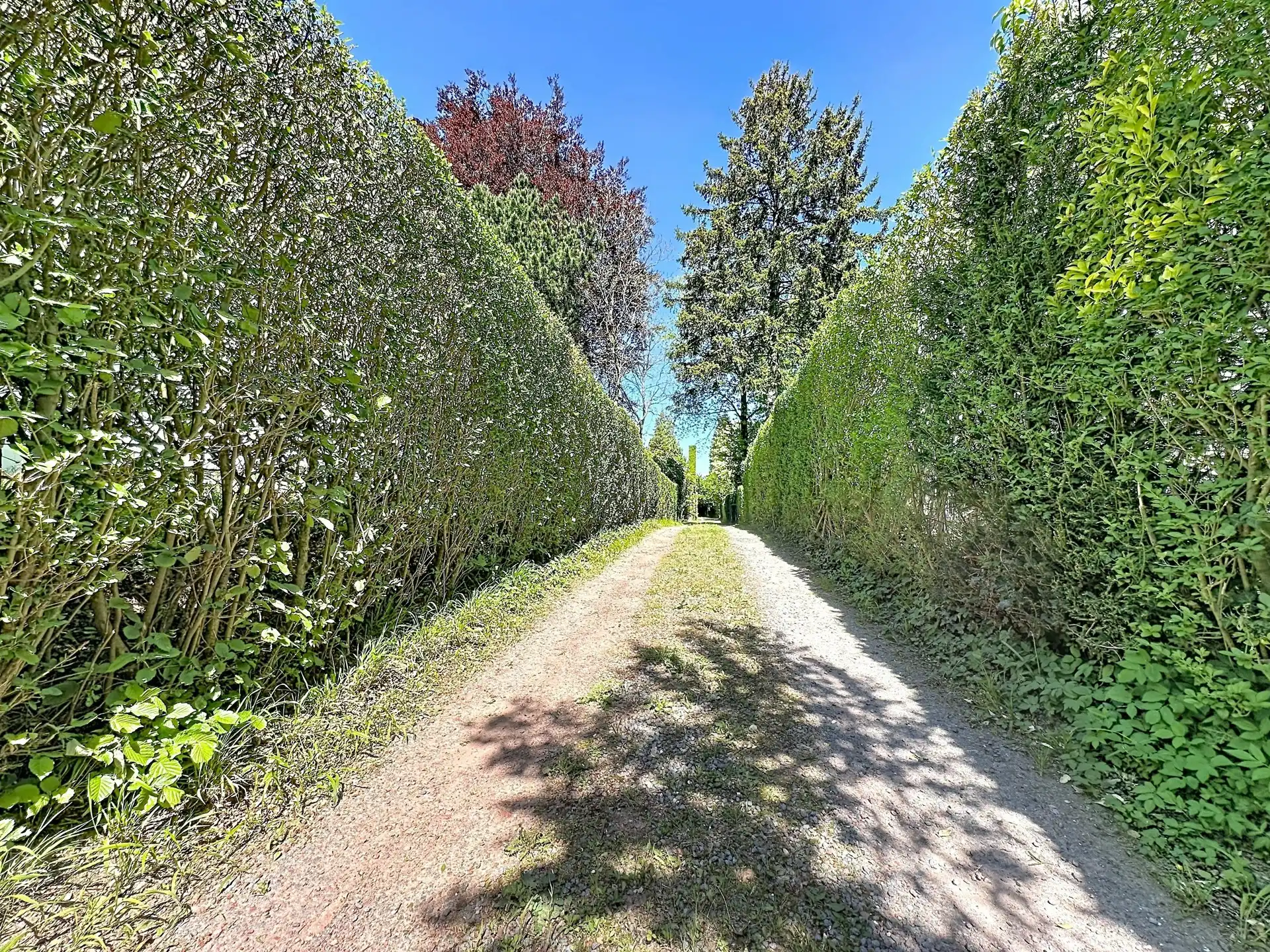 VILLA MET CHARME - DISCREET GELEGEN MET PRIVATIEVE WEG foto 24