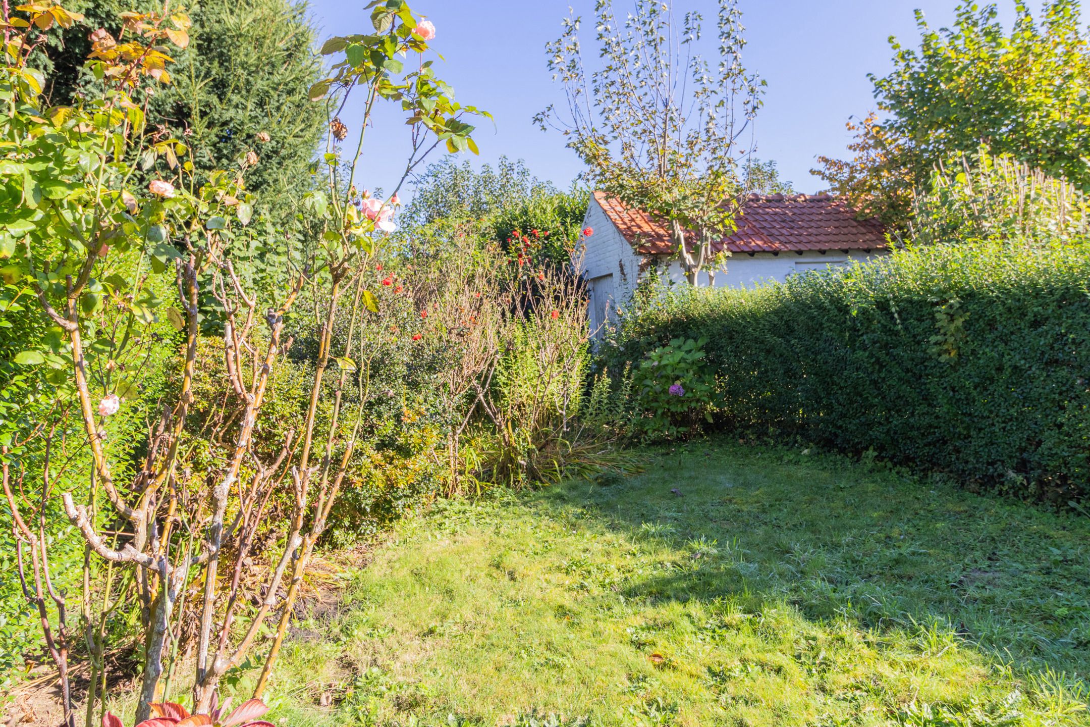 Te renoveren woning met 3 slaapkamers foto 21