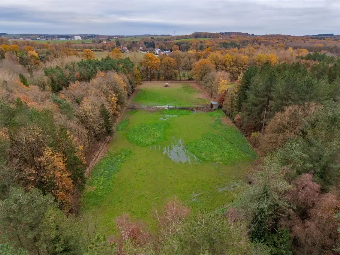 Toffe woning met weiland van meer dan 1Ha foto 37