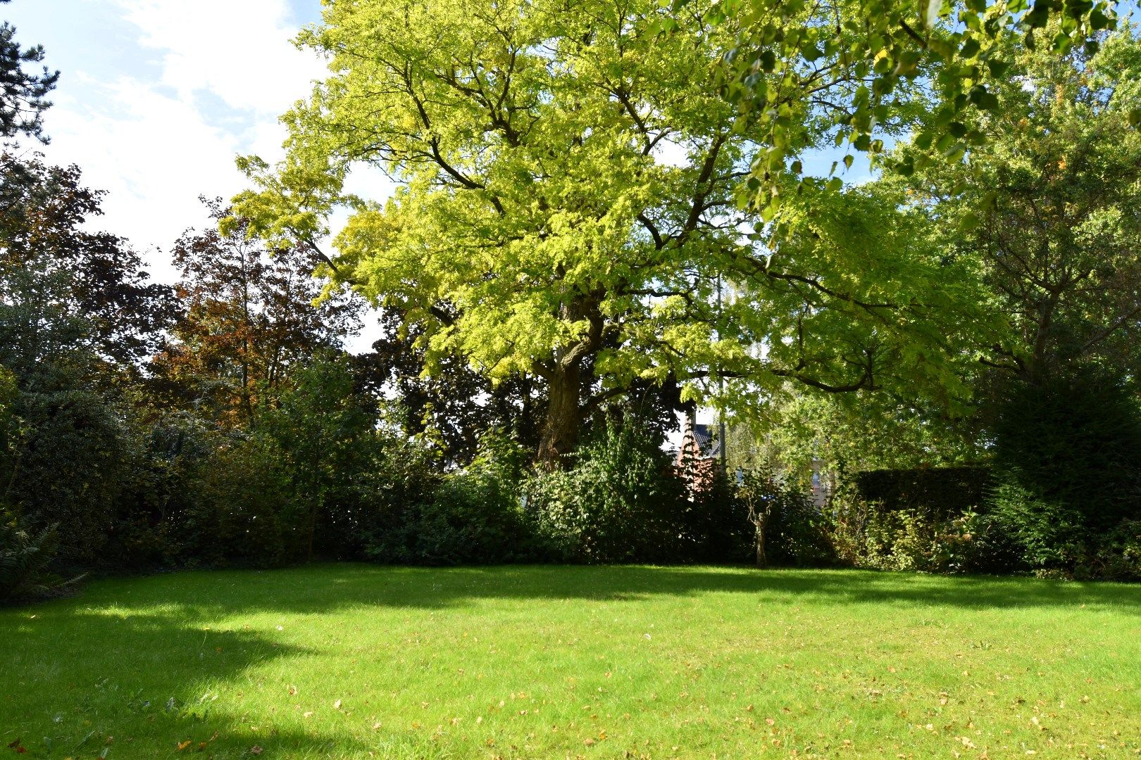 Op te frissen gezinswoning met extra perceel grond te Roeselare foto 11