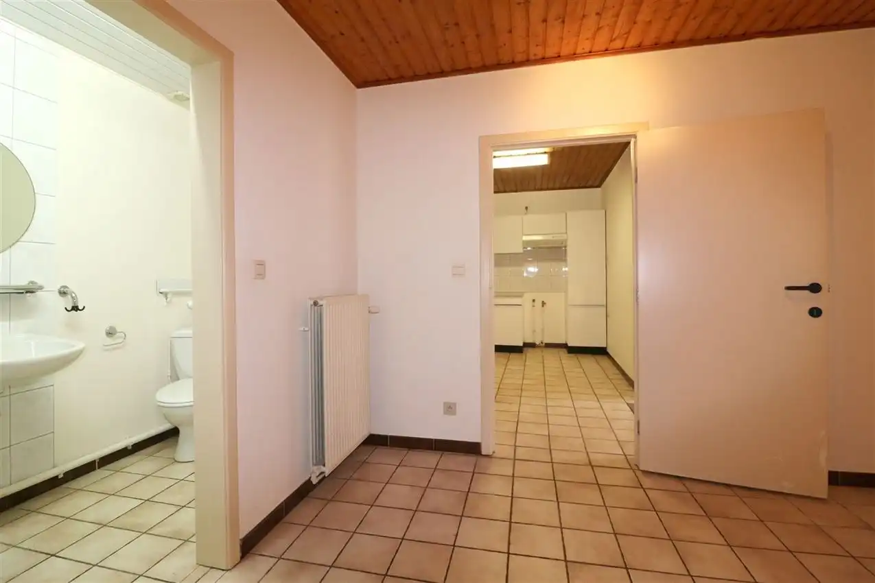 charmant, ruim, mogelijkheid beroep of kangoeroe foto 57