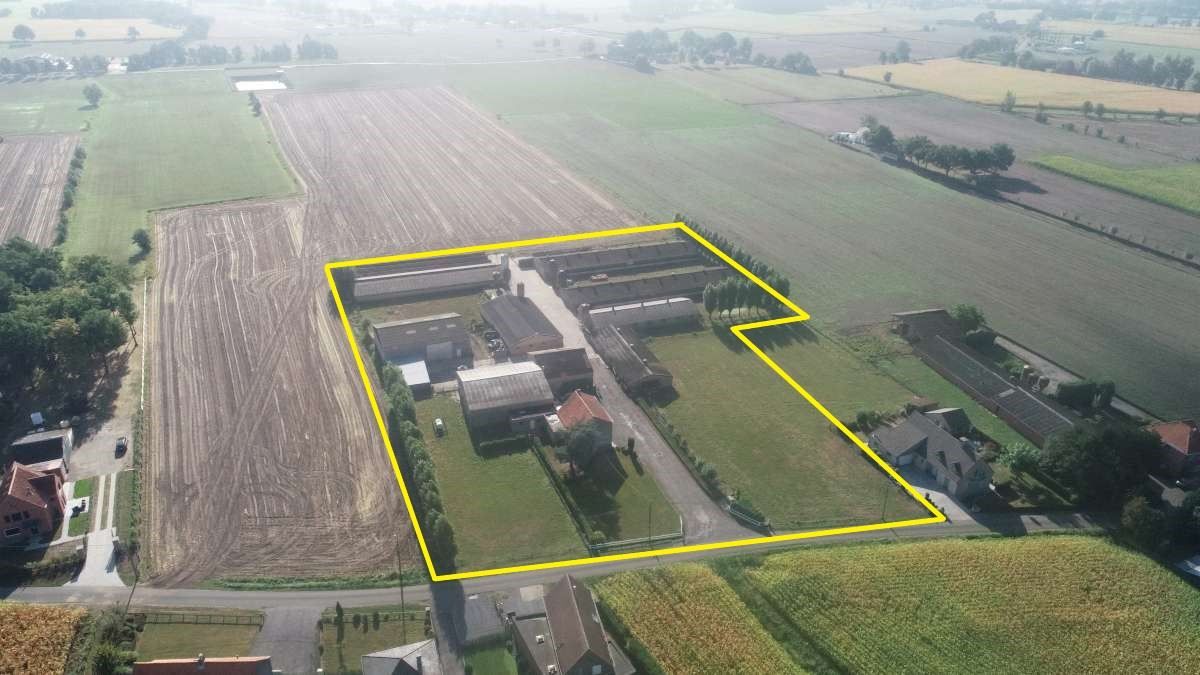 Gemengd landbouwbedrijf gelegen te Maldegem foto 1