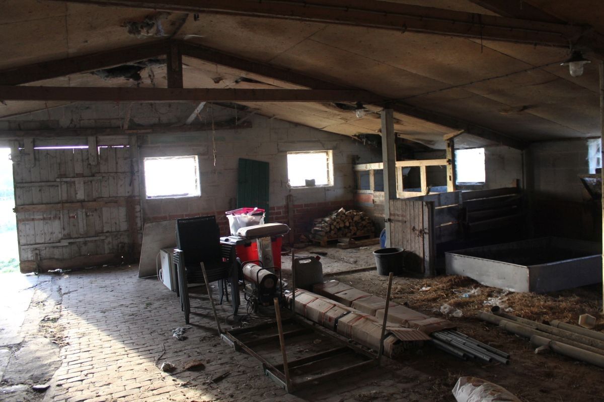 Hoevetje met residentiële woning en stallen te koop op 1 ha te Staden en Hooglede foto 9