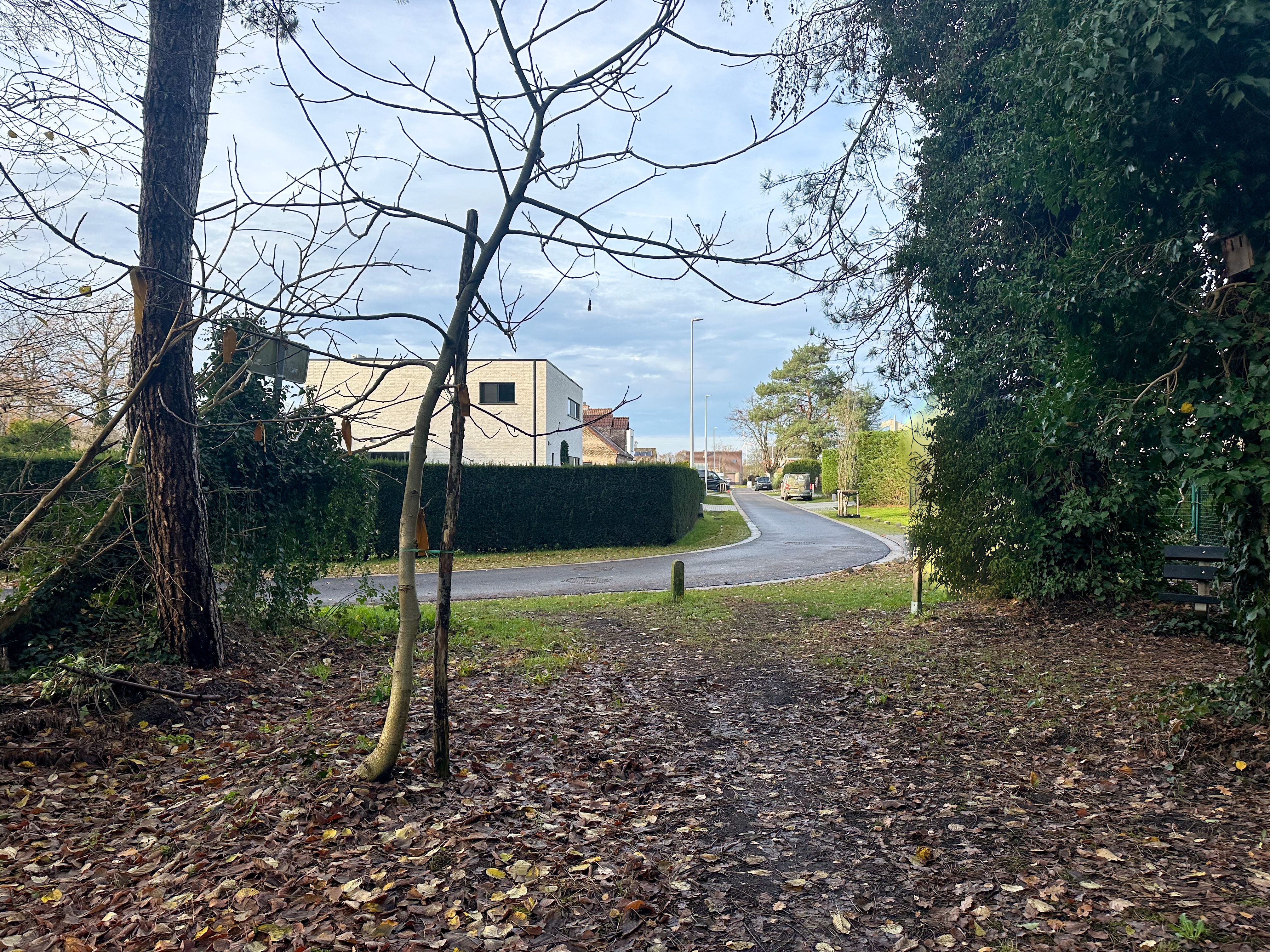 Bouwperceel in residentiële straat foto 7