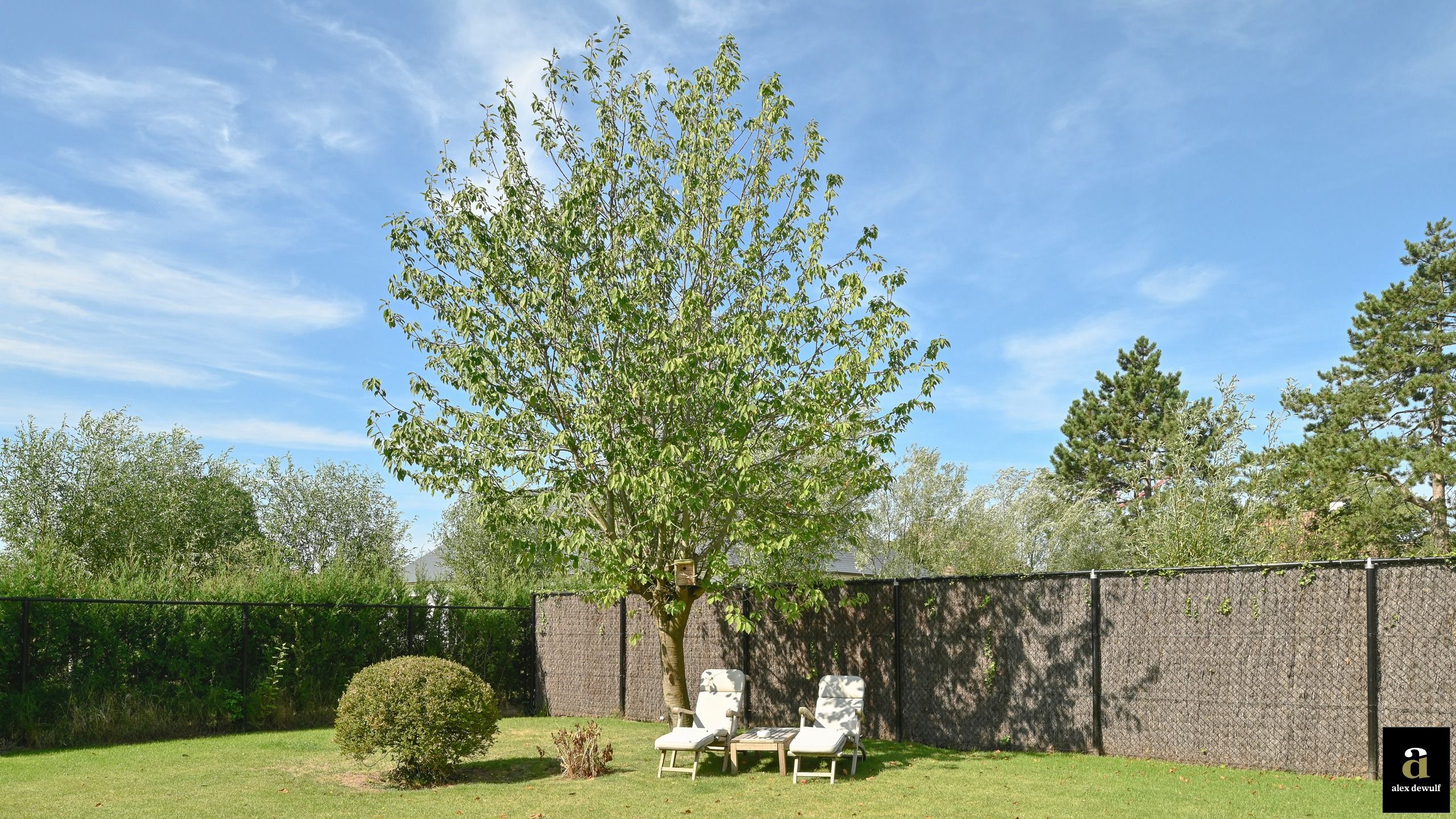 Gerenoveerde koppelvilla met open zicht op de Polders.       foto 6