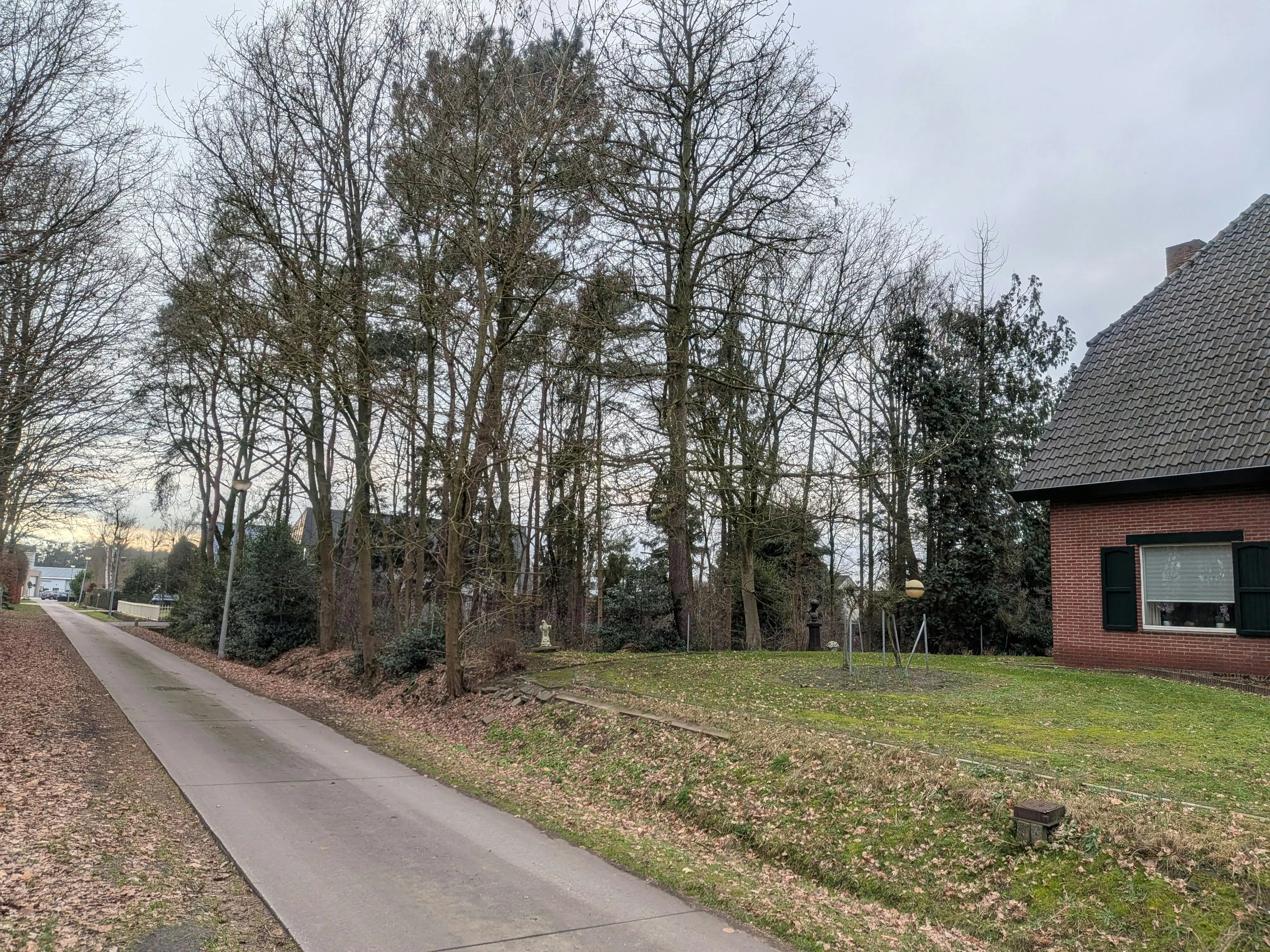 Villagrond van 14 are, 35m breed, te koop in Ravels/Poppel foto 3