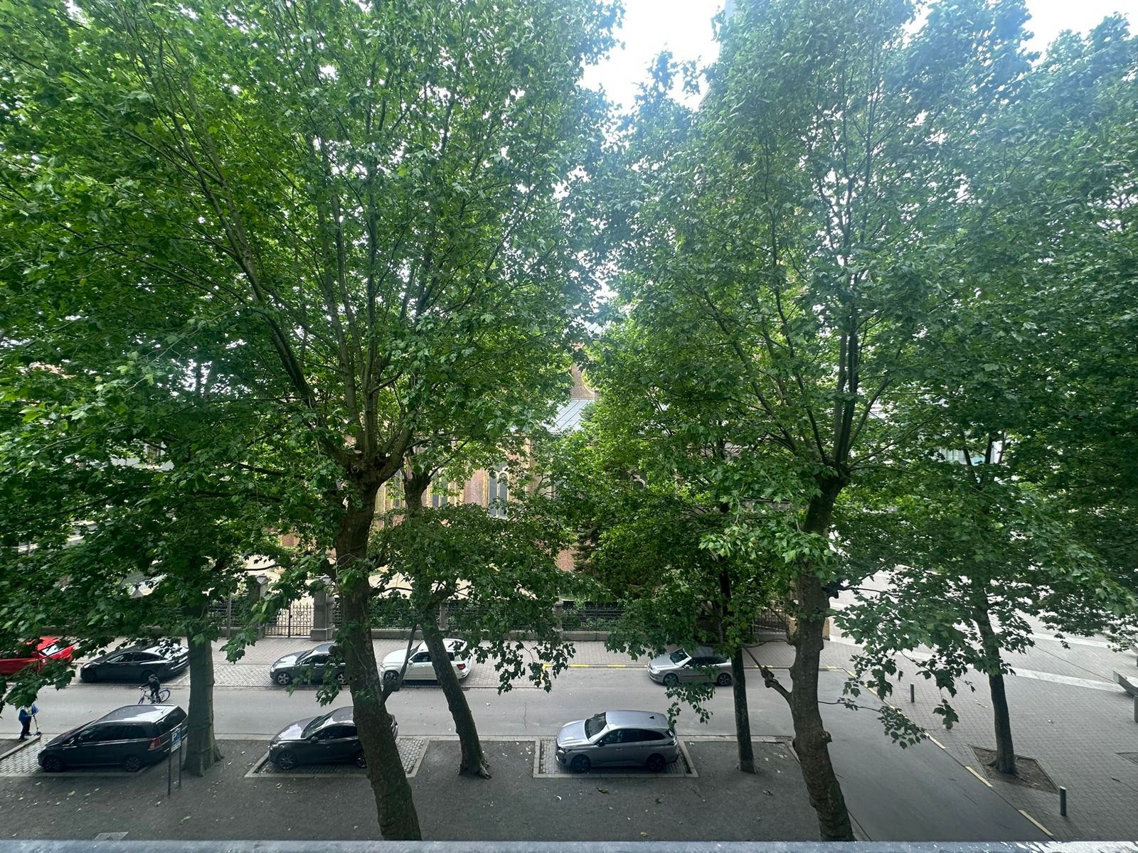 Ruime studio (56m²) met prachtig uitzicht aan het stadspark foto 12