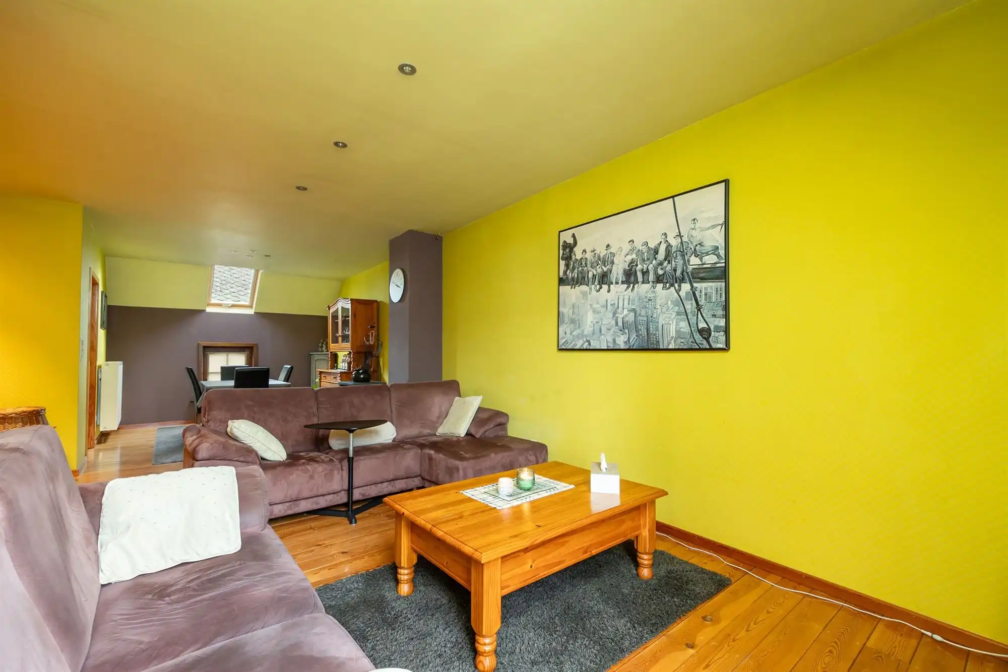 Ruime woonst, polyvalente ruimte, studio en garage foto 3