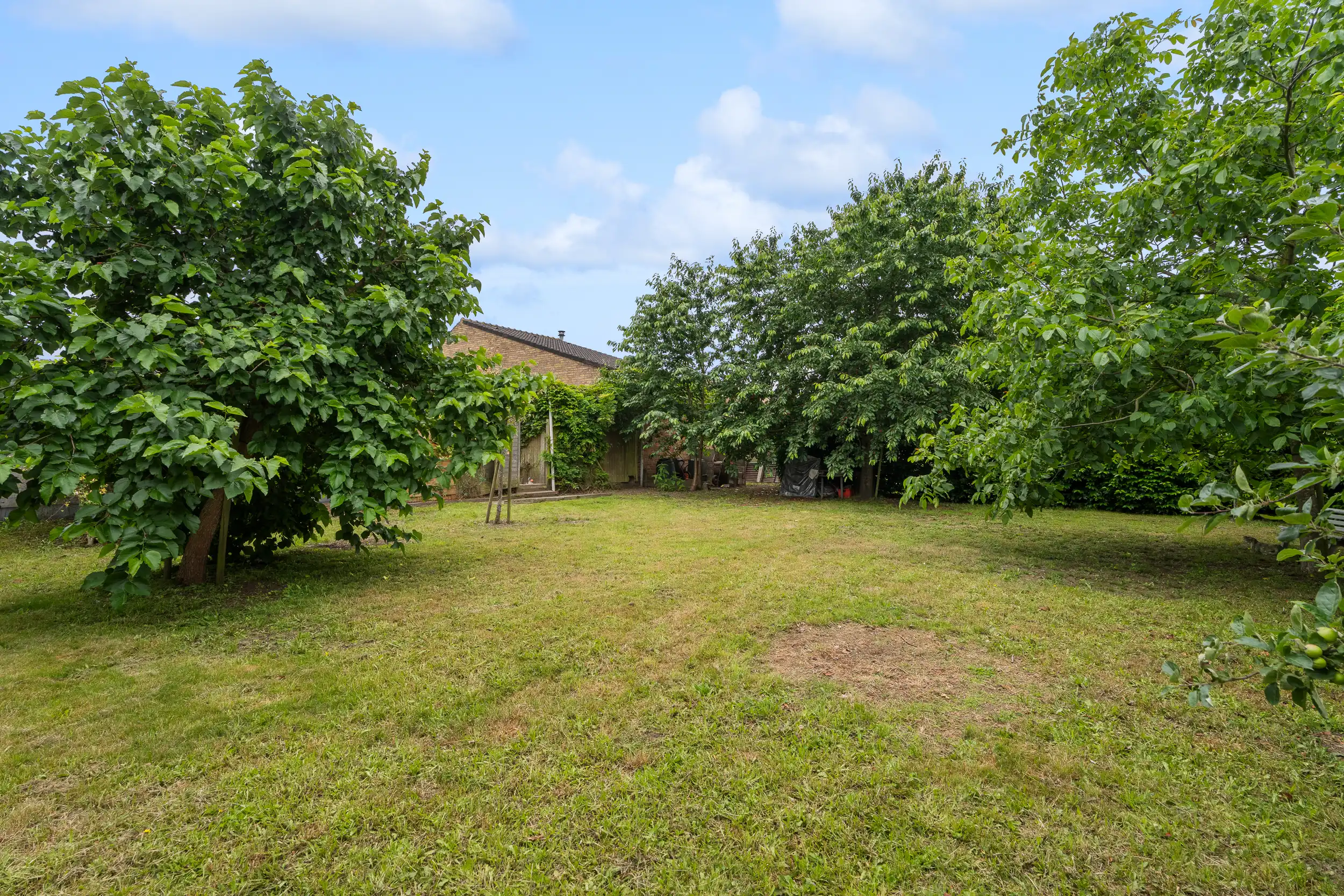 Ruime bungalow met magazijn op 1.101 m² grond foto 15