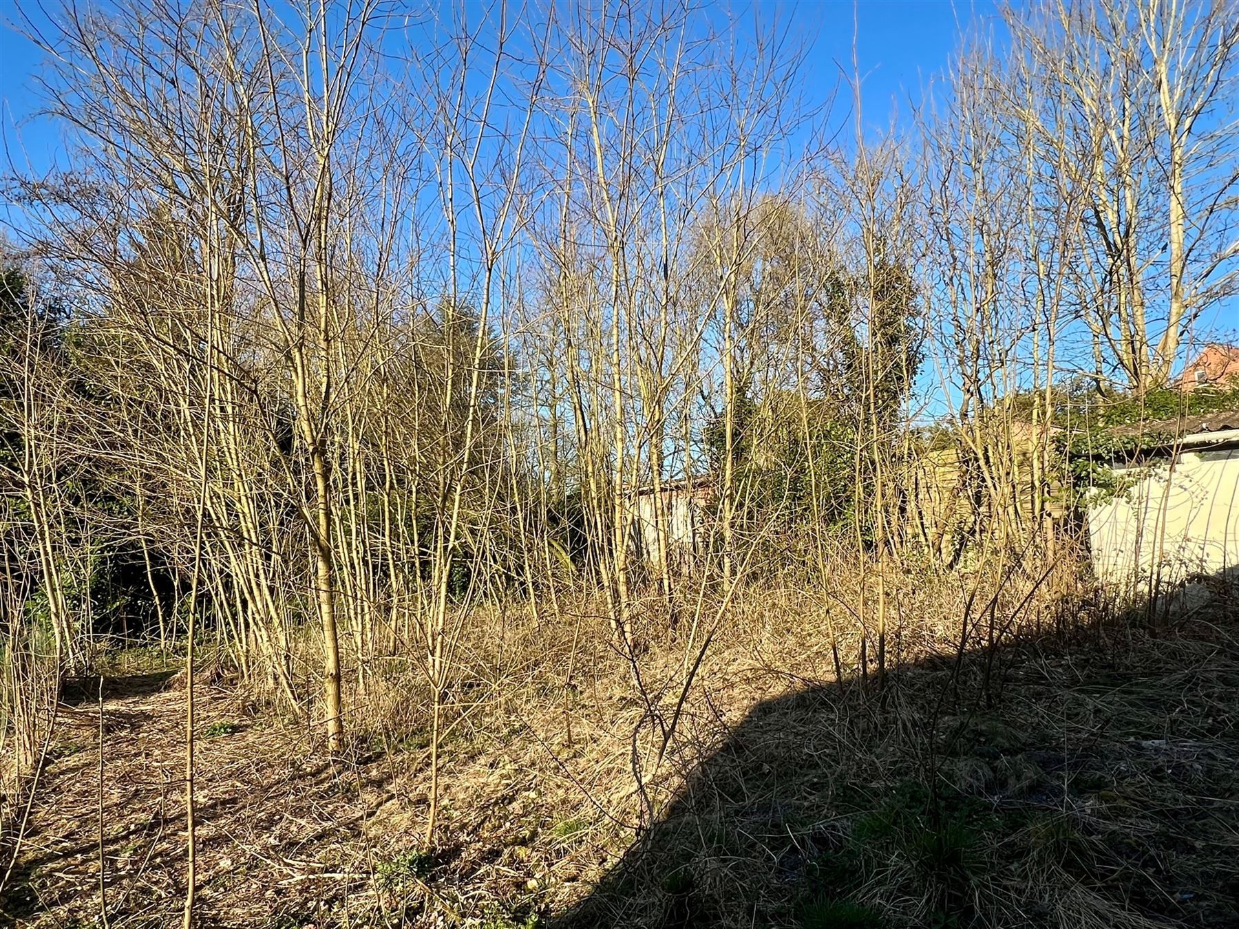 Ruime woning met garage en tuin -  veel mogelijkheden! foto 17