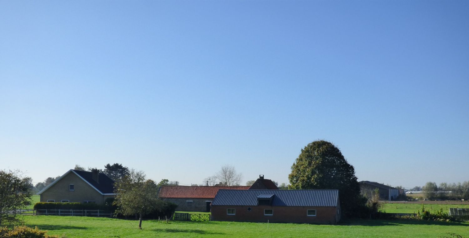 Exclusieve landelijke woning op een mooi perceel van 19869 m² en magnifieke bijgebouwen van bij benadering 1000 m² foto 18