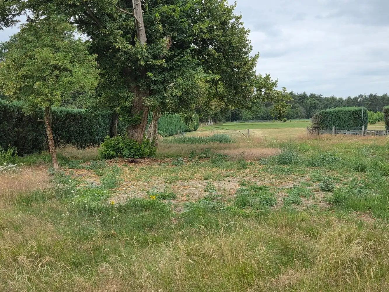 Mooie bouwgrond voor OB met prachtig uitzicht te Hechtel-Eksel foto 3