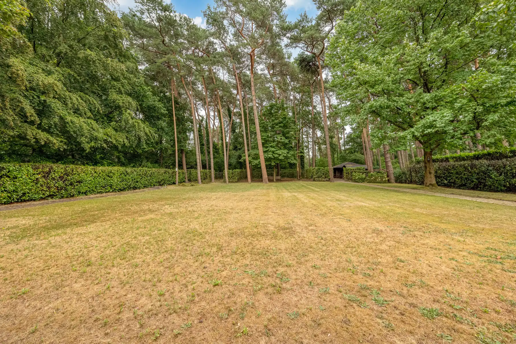 Rustig gelegen te renoveren gelijkvloerse villa op 2265 m² foto 12