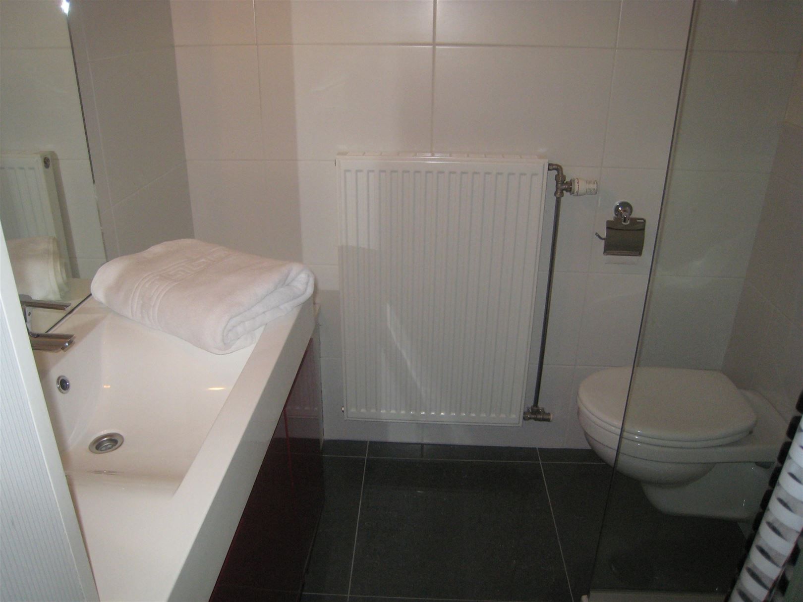 Gemeubeld appartement met 1 slaapkamer en terras foto 8