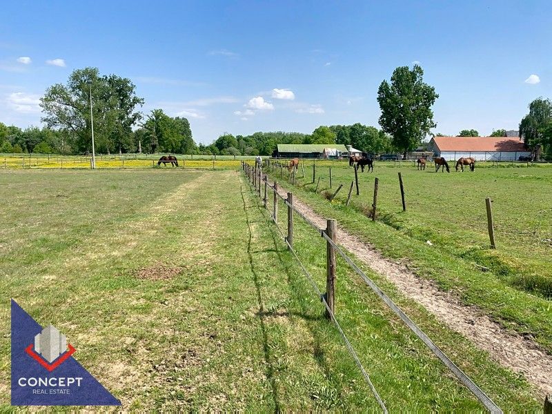 Instapklare woning met 3 slaapkamers met achterliggende paardenweides. foto 44