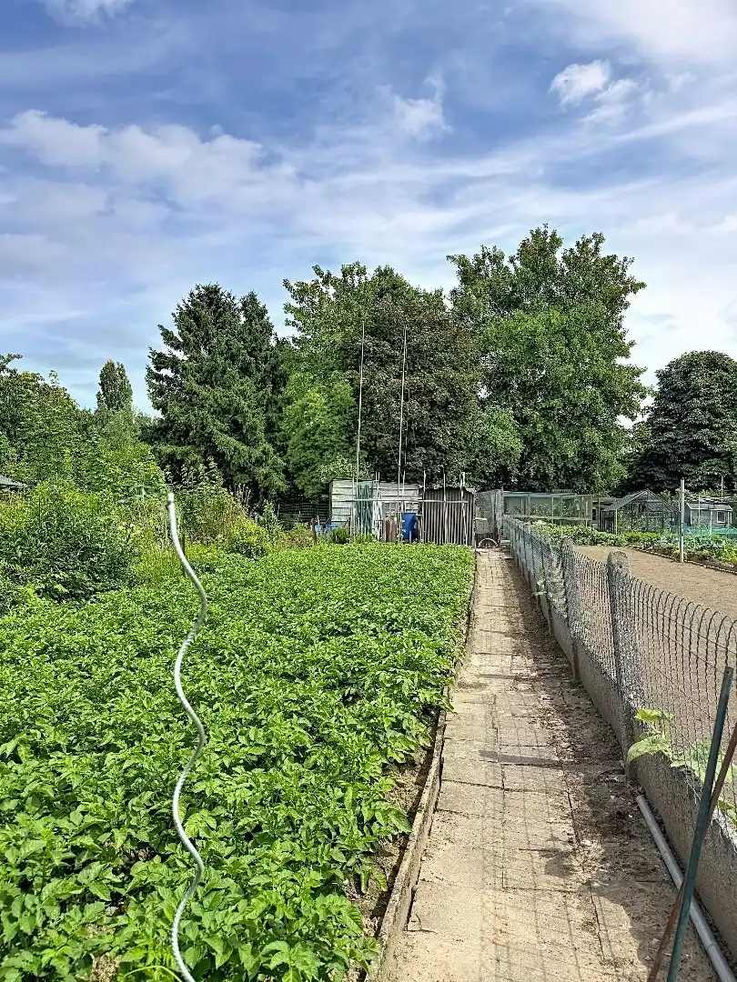Te renoveren gezinswoning met ruime tuin in Tienen foto 16