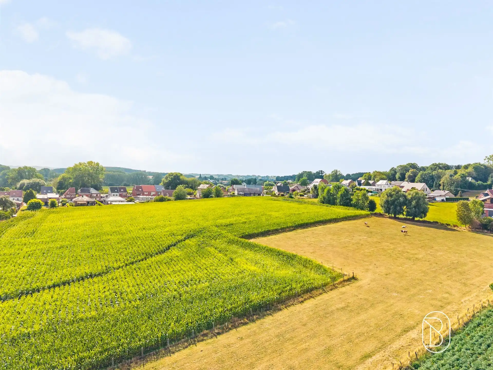 Instapklare prachtig gelegen gezinswoning met ruime tuin  foto 3