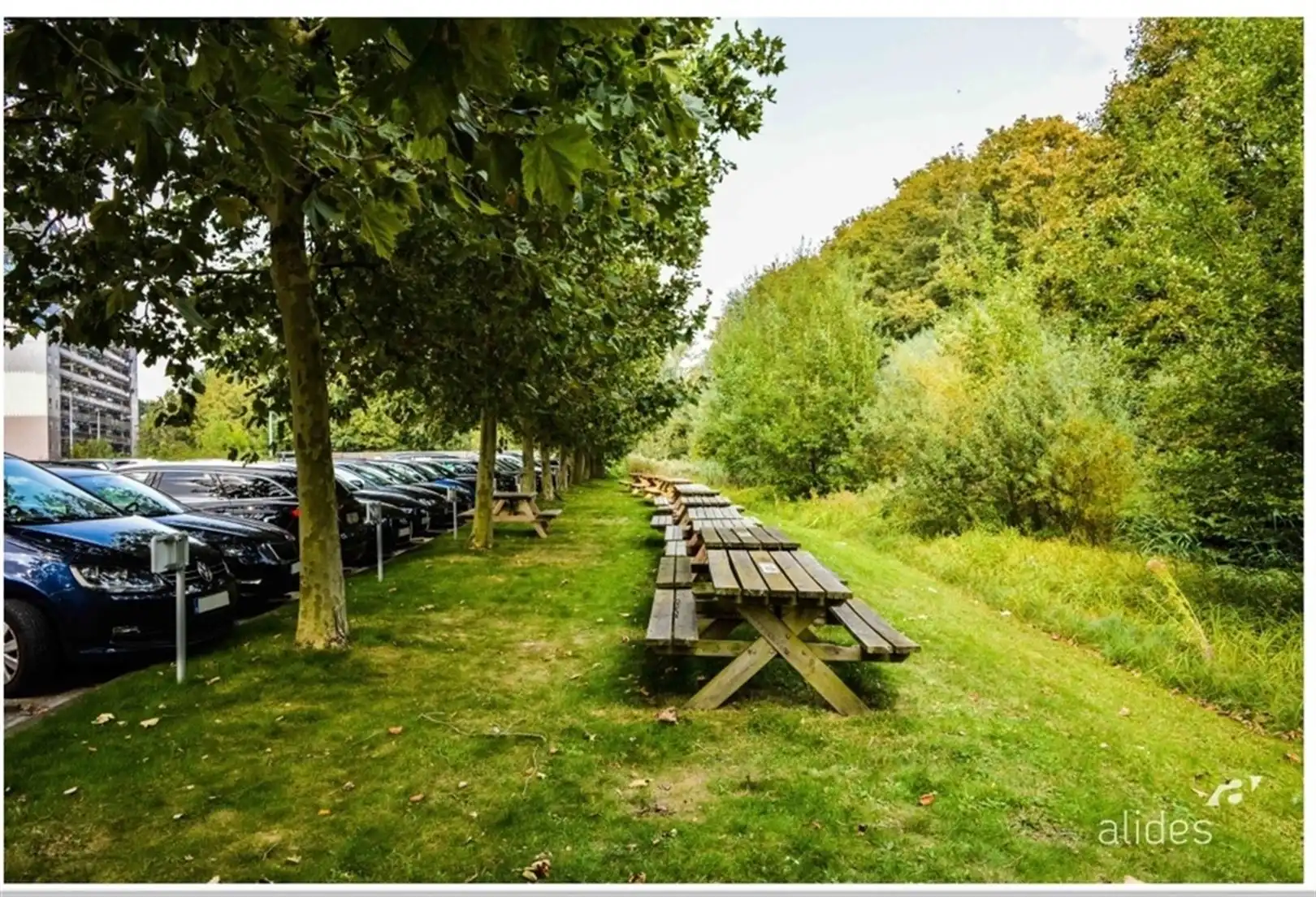 THE OFFICE: kantoren nabij Klaverblad (E17/E40)  foto 18