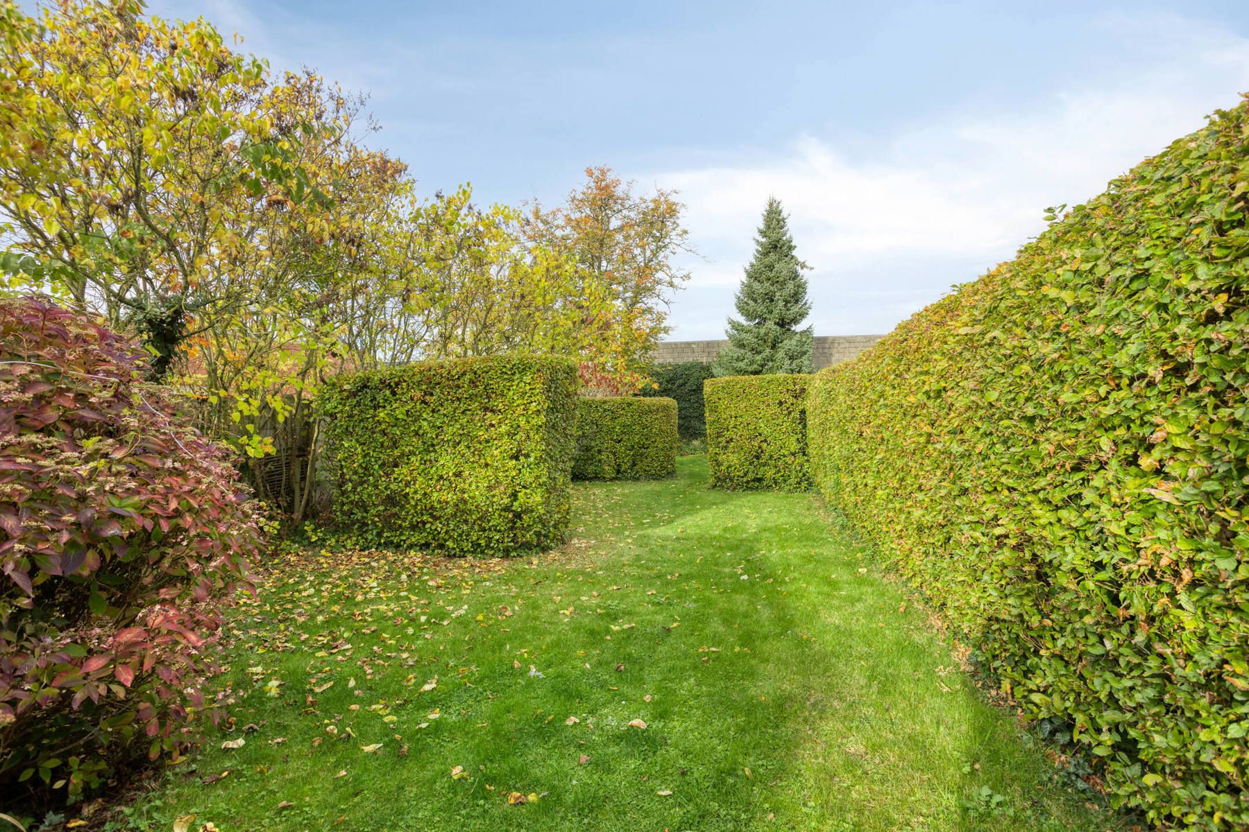 Te moderniseren halfopen woning met tuin en garage foto 28