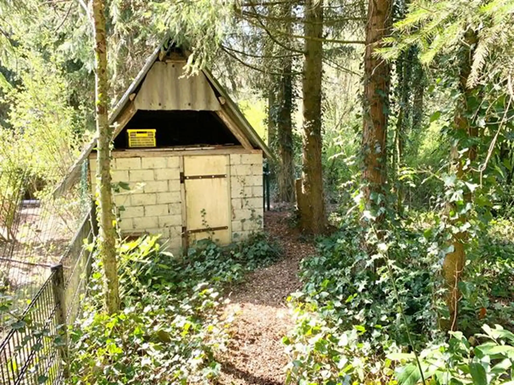 instapklare vakantiewoning in een uniek natuurgebied foto 23