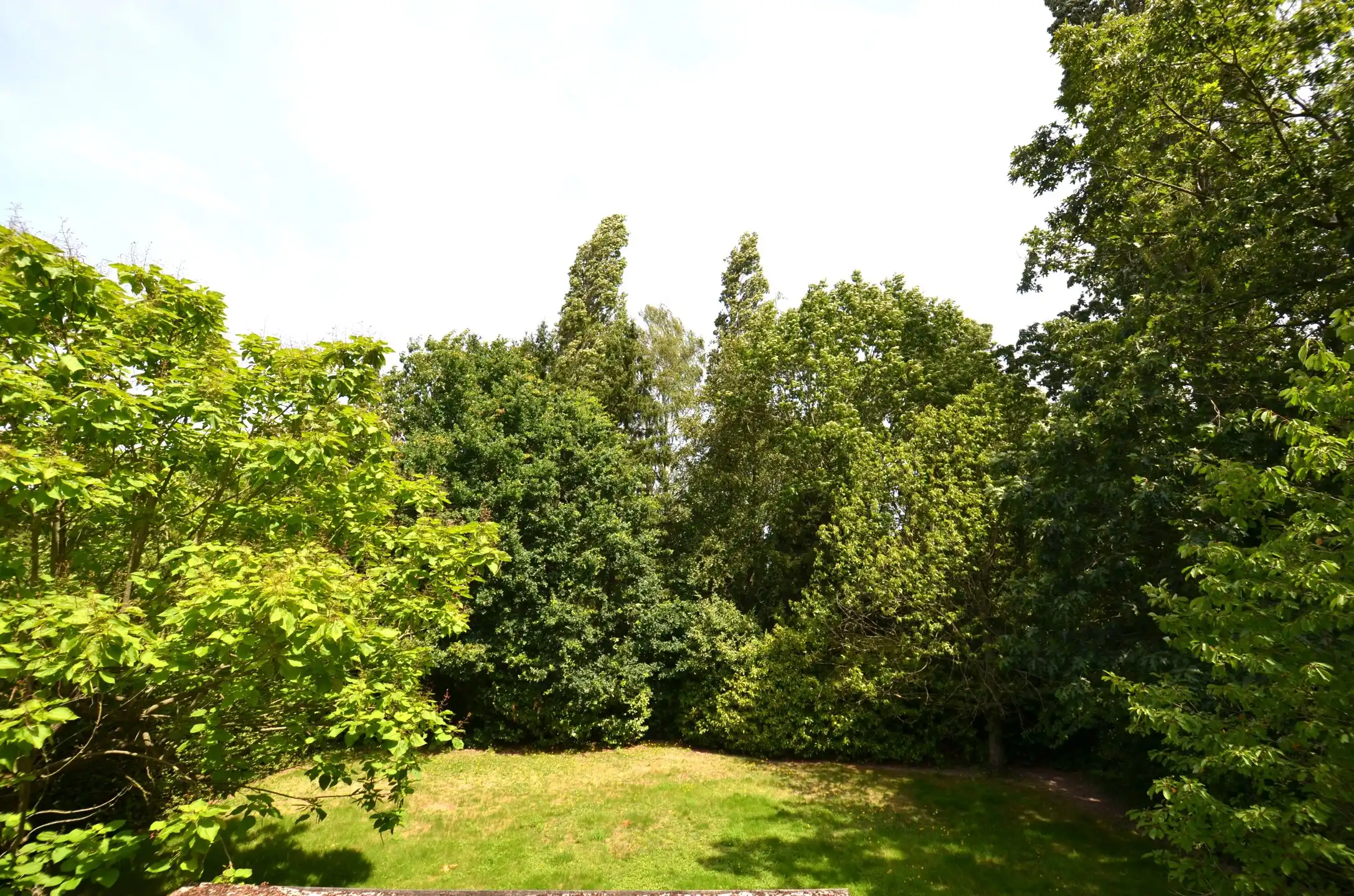 Energiezuinige villa met bijhorende bouwgrond op 2.785 m² foto 25