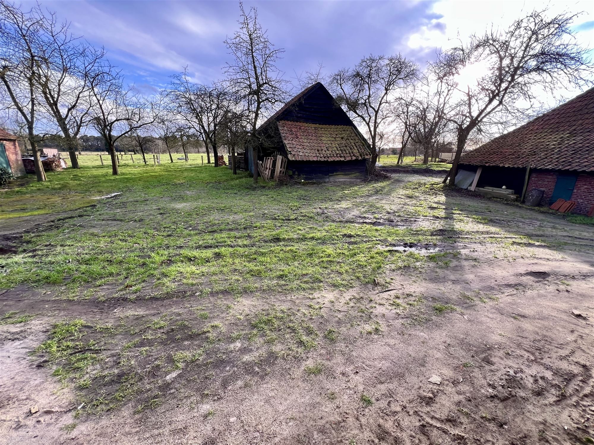 vernieuwde boerderij met 4 slpks, bureel en tuin,... foto 5