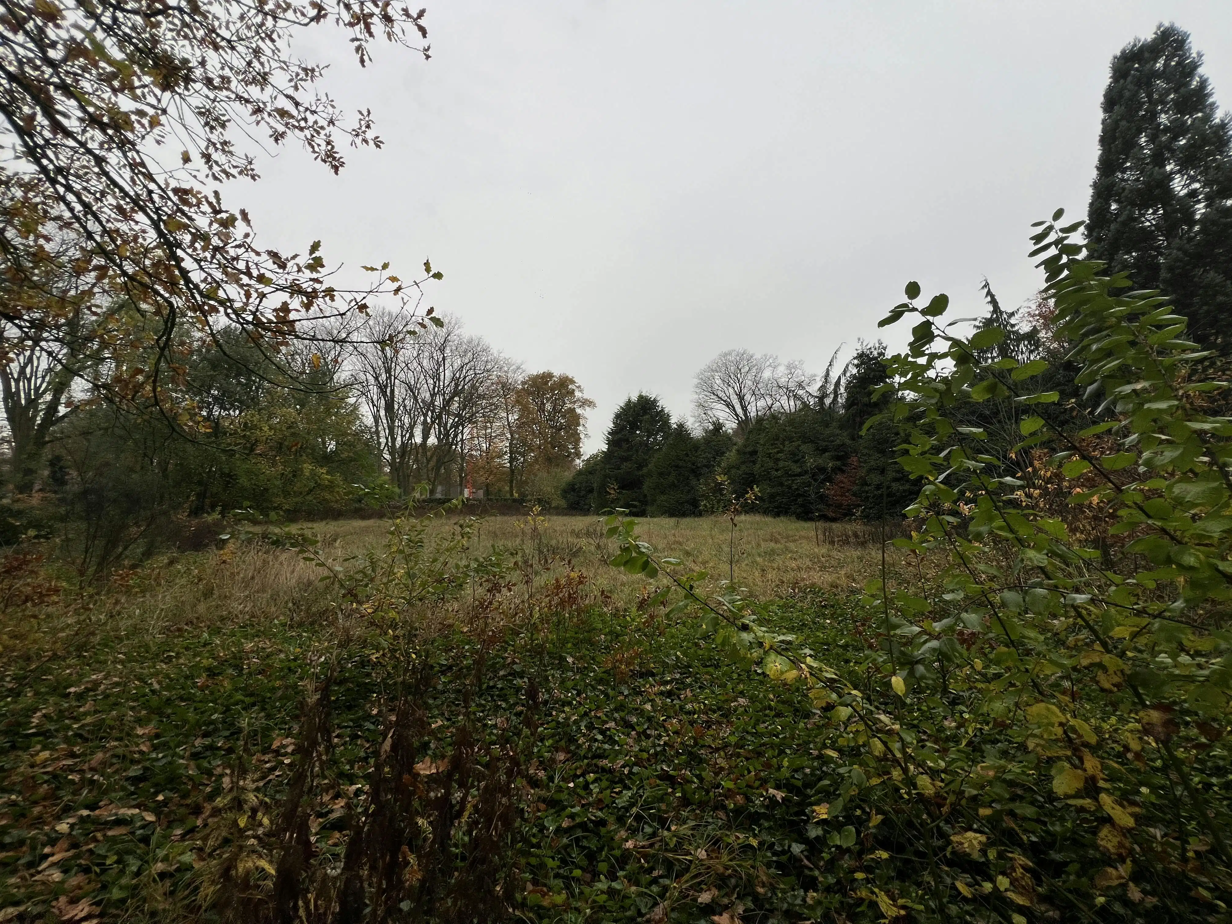 Unieke bouwgrond op 2.963m² te Schilde! foto 8