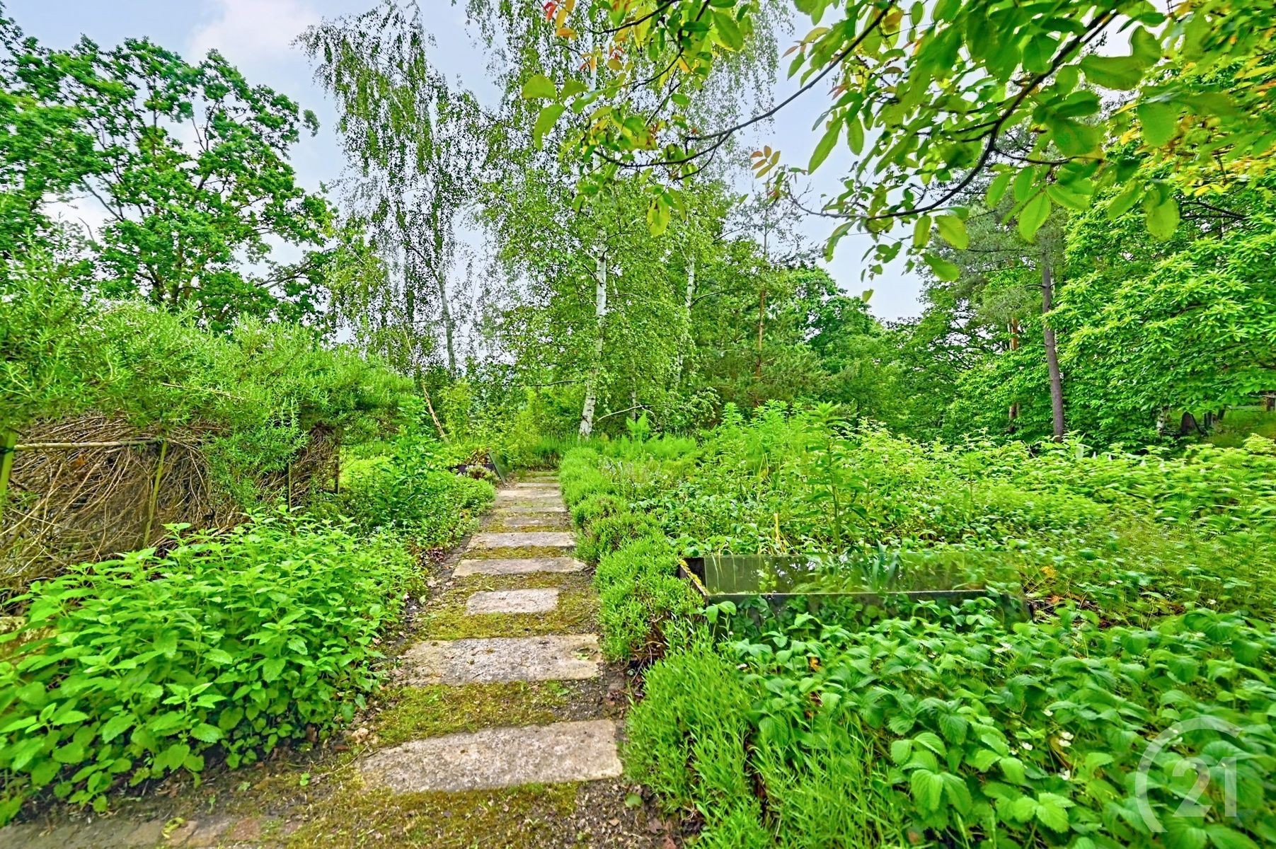 Exclusieve villa met karakter en prachtig uitzicht! foto 3