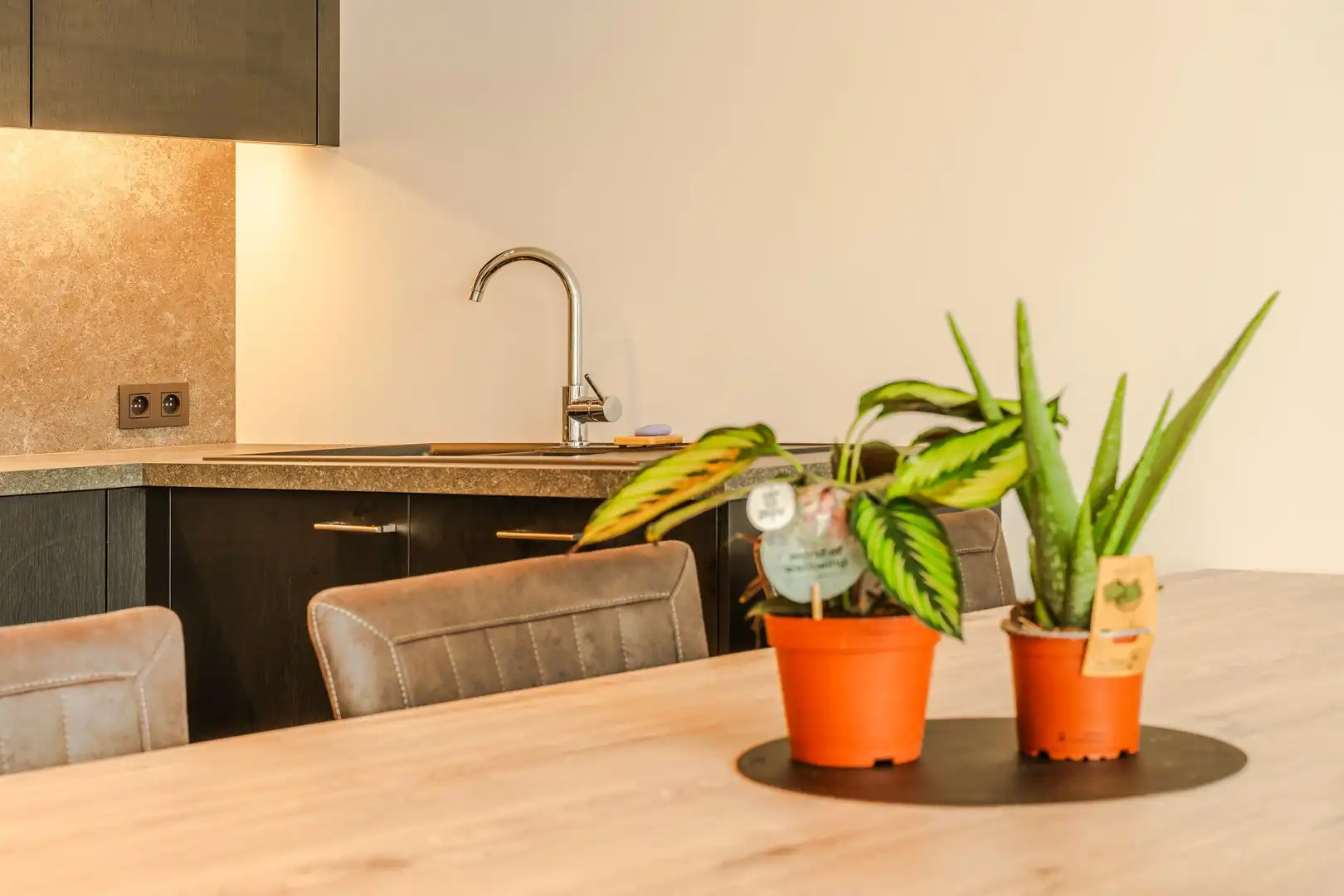 Gelijkvloers appartement met tuin en garagebox. foto 8